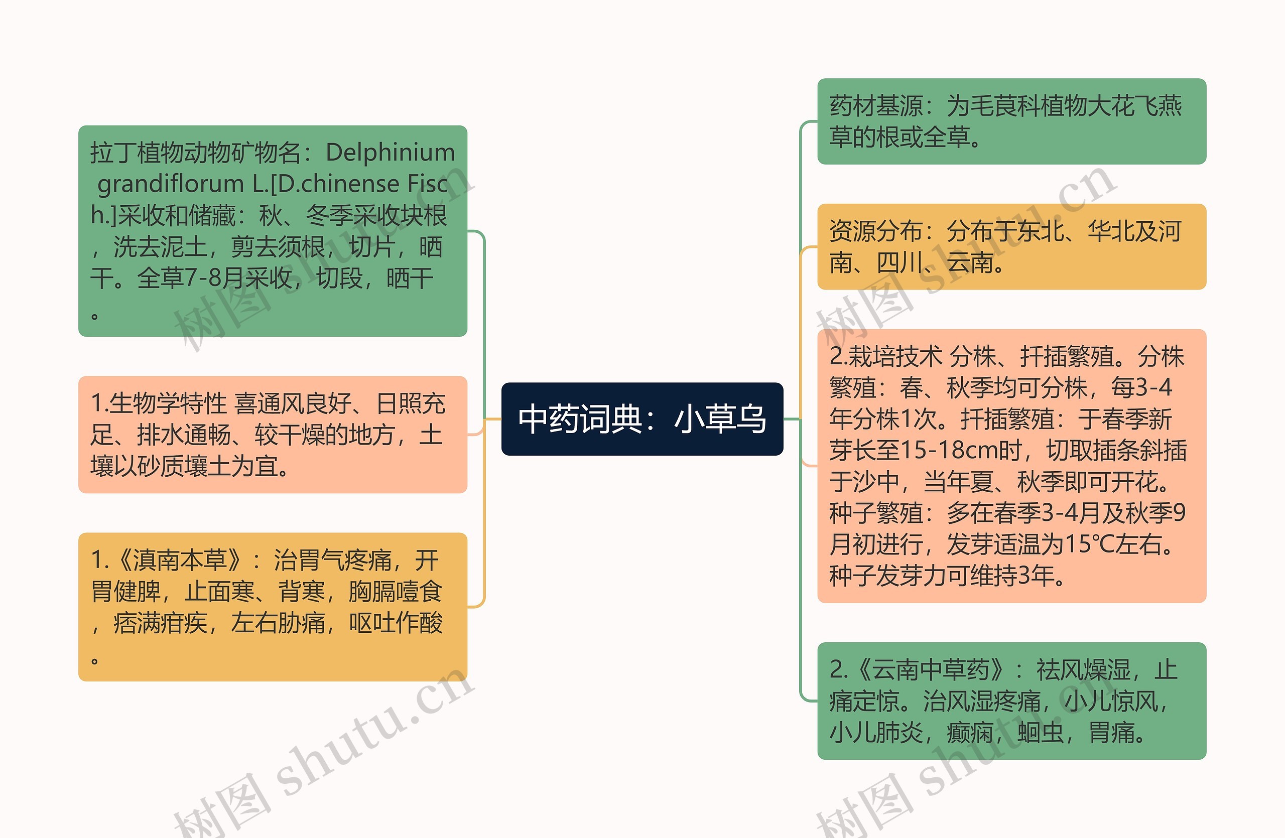 中药词典：小草乌思维导图