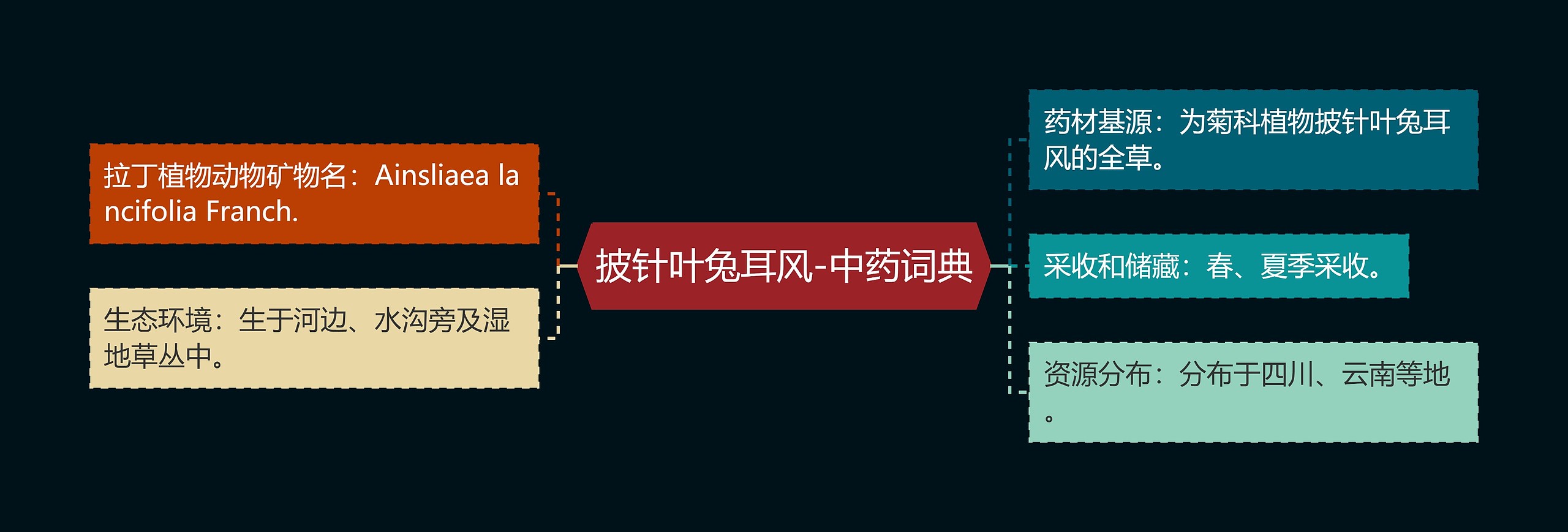 披针叶兔耳风-中药词典 披针叶兔耳风-中药词典