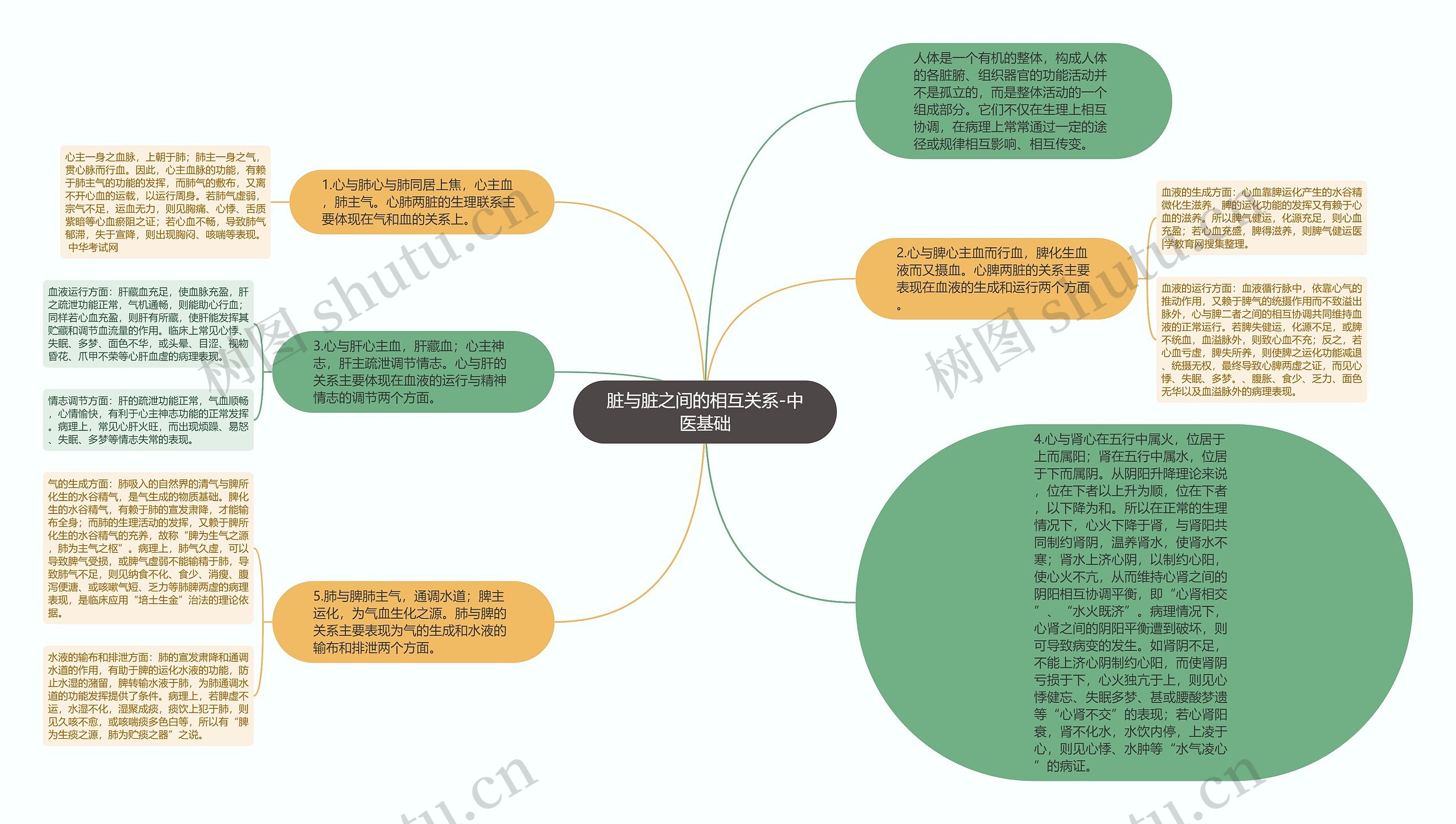 脏与脏之间的相互关系-中医基础思维导图