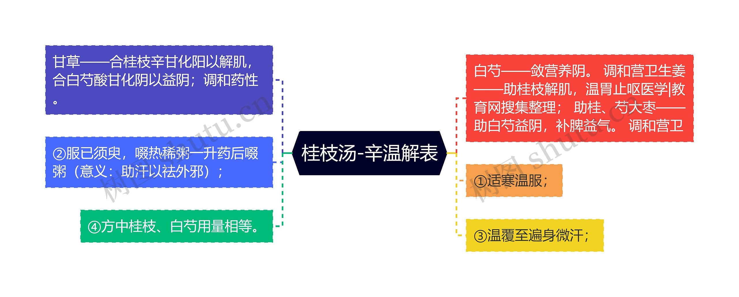 桂枝汤-辛温解表思维导图