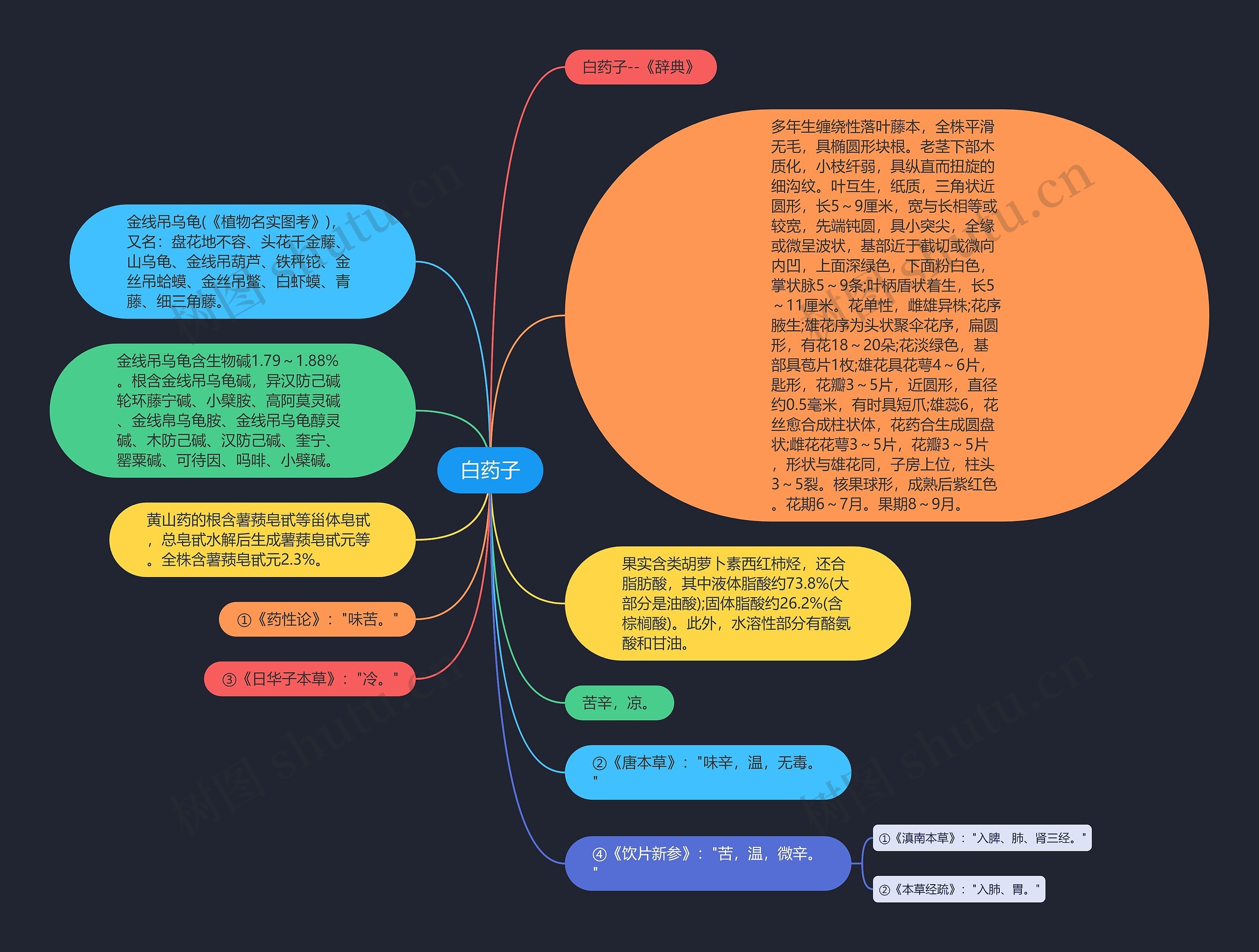 白药子思维导图