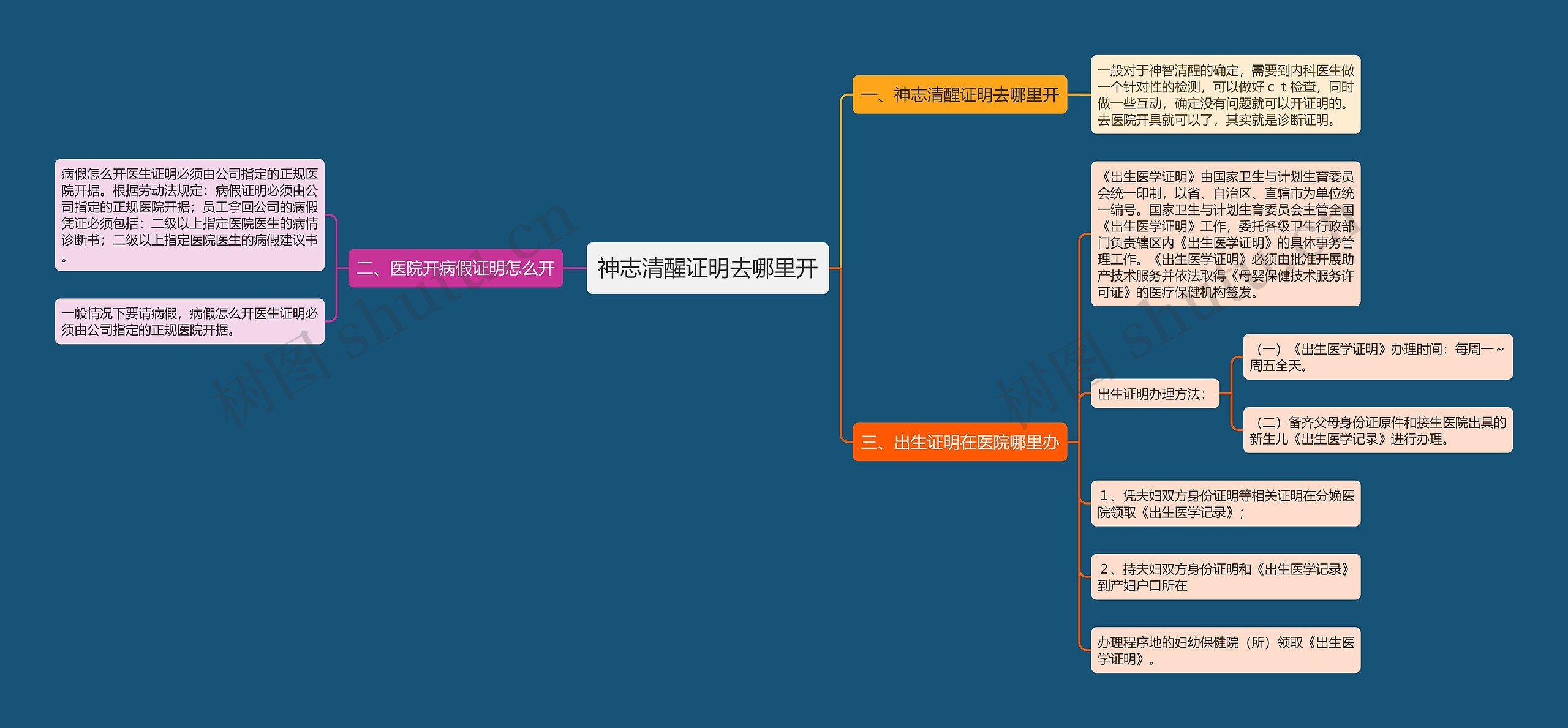 神志清醒证明去哪里开思维导图