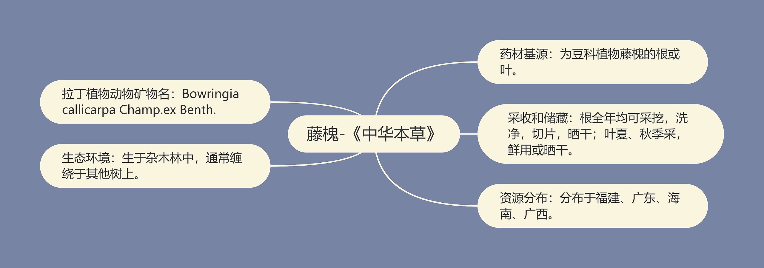 藤槐-《中华本草》思维导图