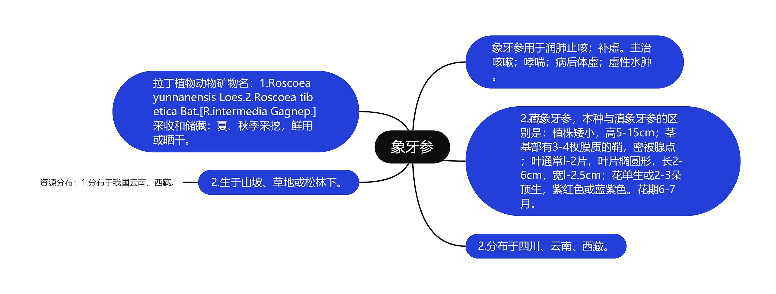 象牙参思维导图