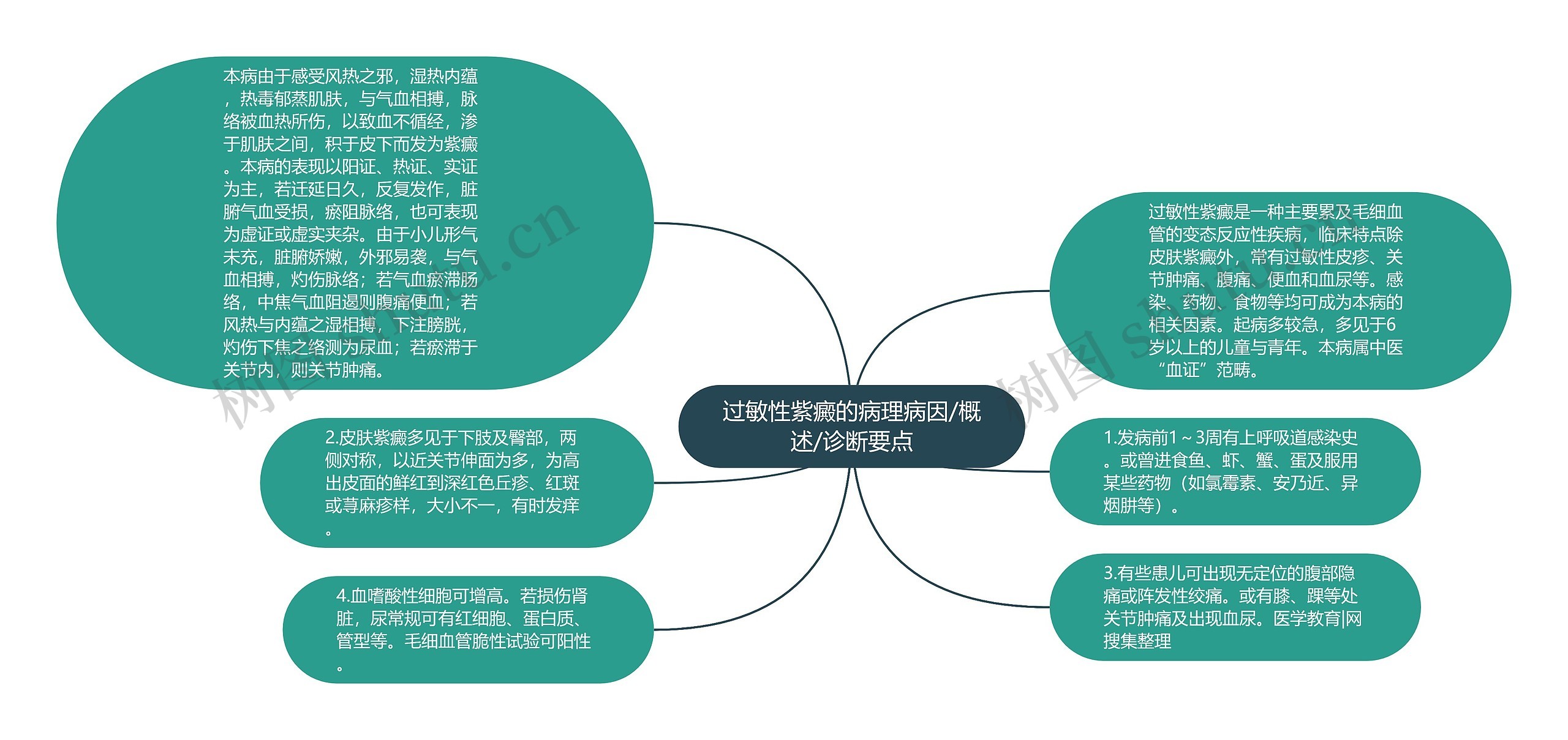 过敏性紫癜的病理病因/概述/诊断要点思维导图