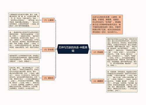 五神与五脏的关系-中医基础