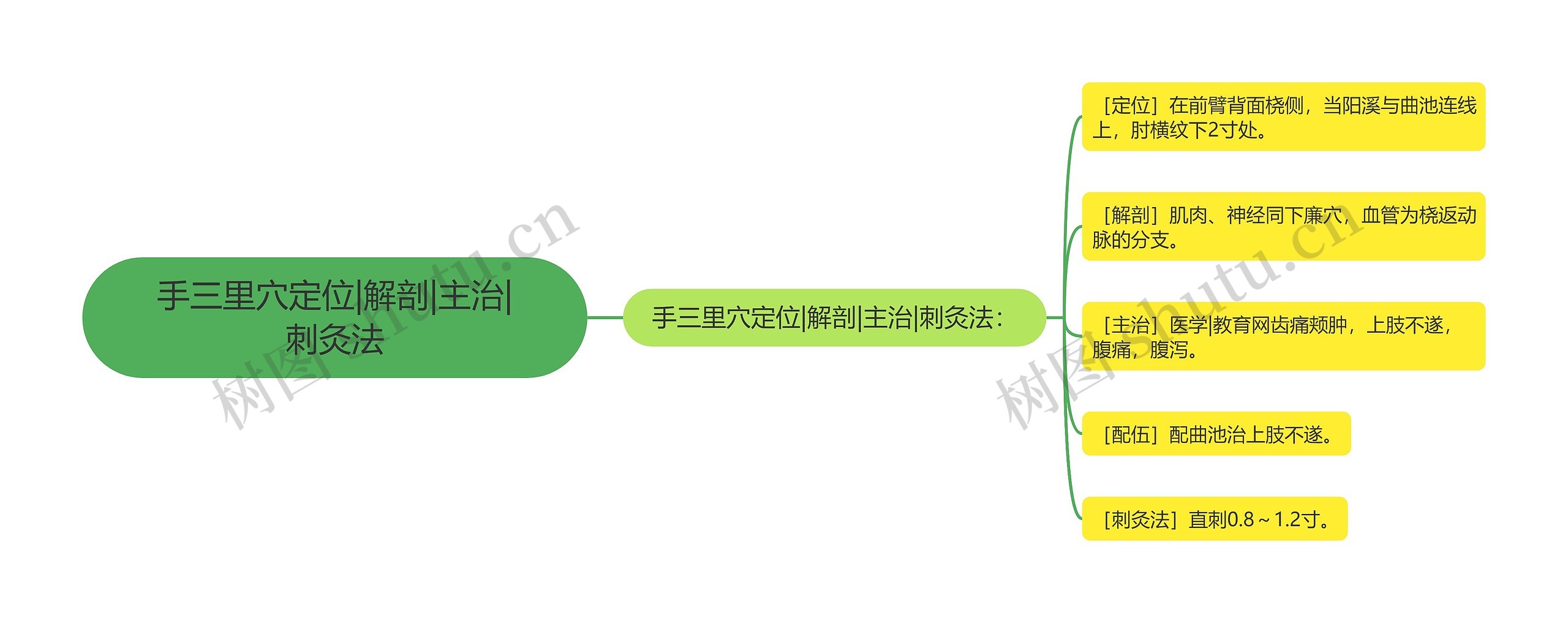 手三里穴定位|解剖|主治|刺灸法思维导图