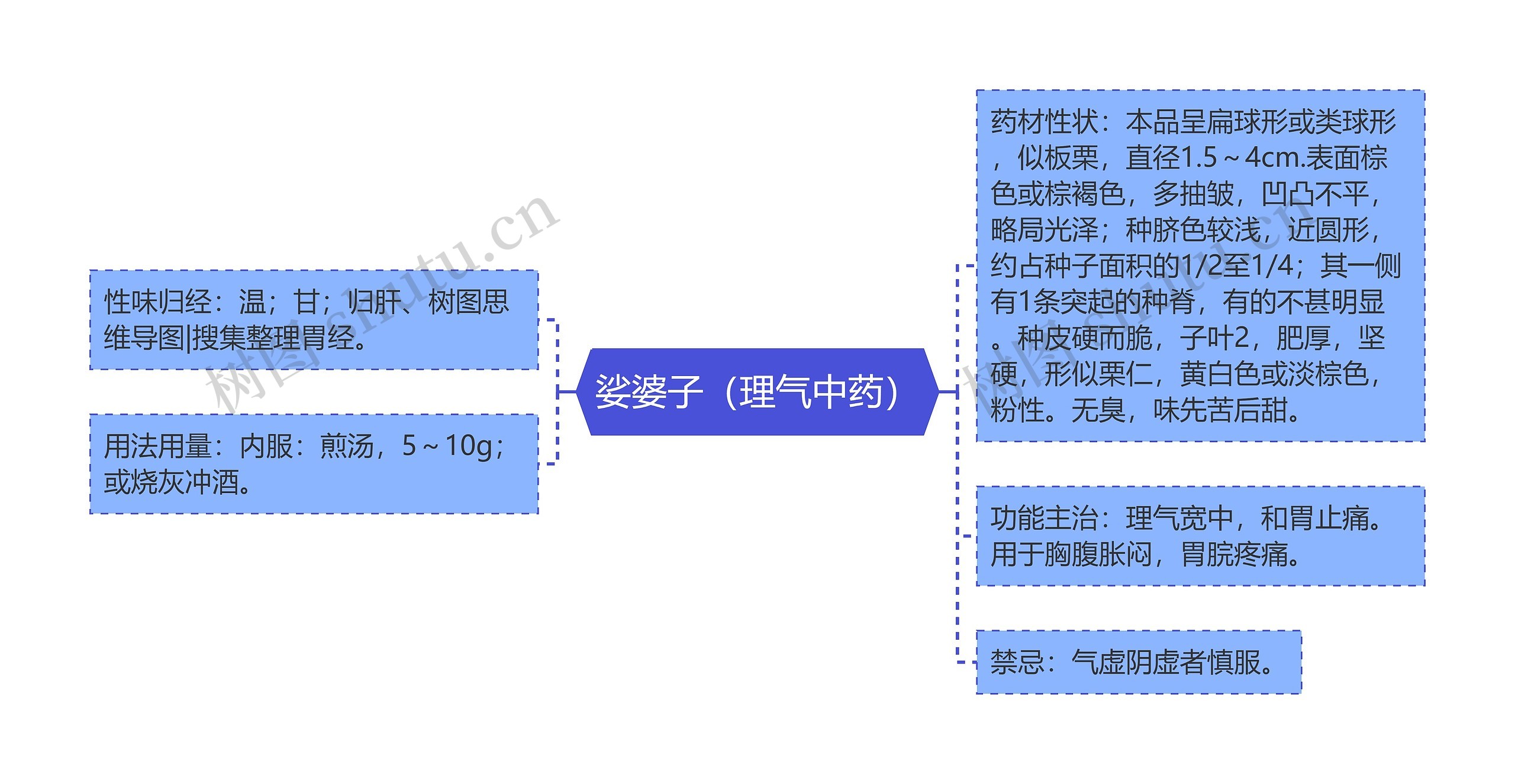 娑婆子（理气中药）思维导图