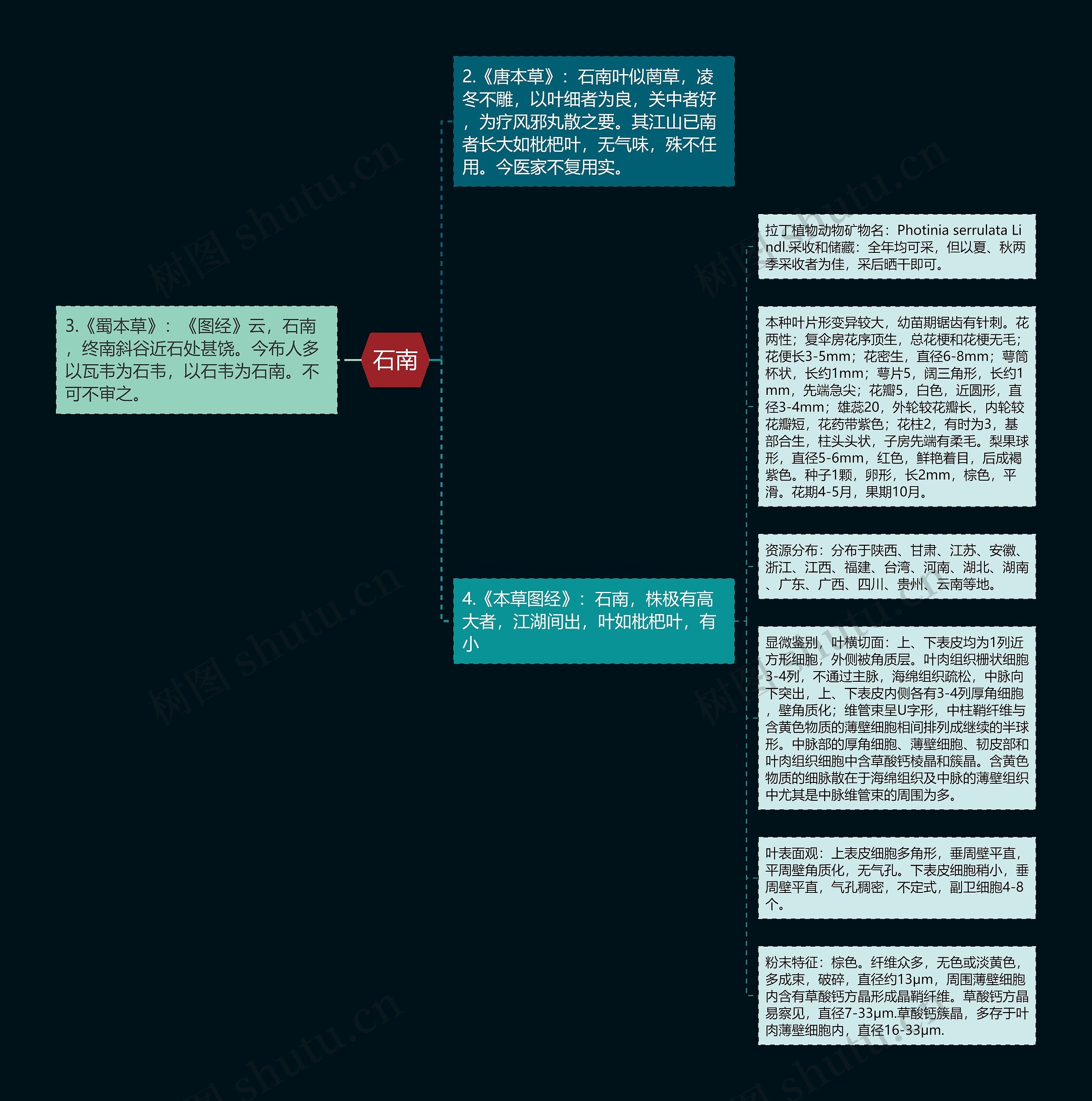 石南思维导图