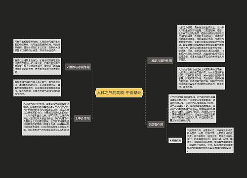 人体之气的功能-中医基础