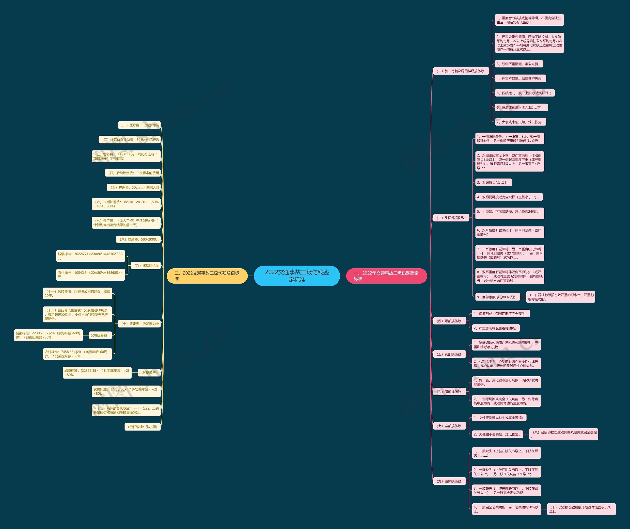 2022交通事故三级伤残鉴定标准思维导图