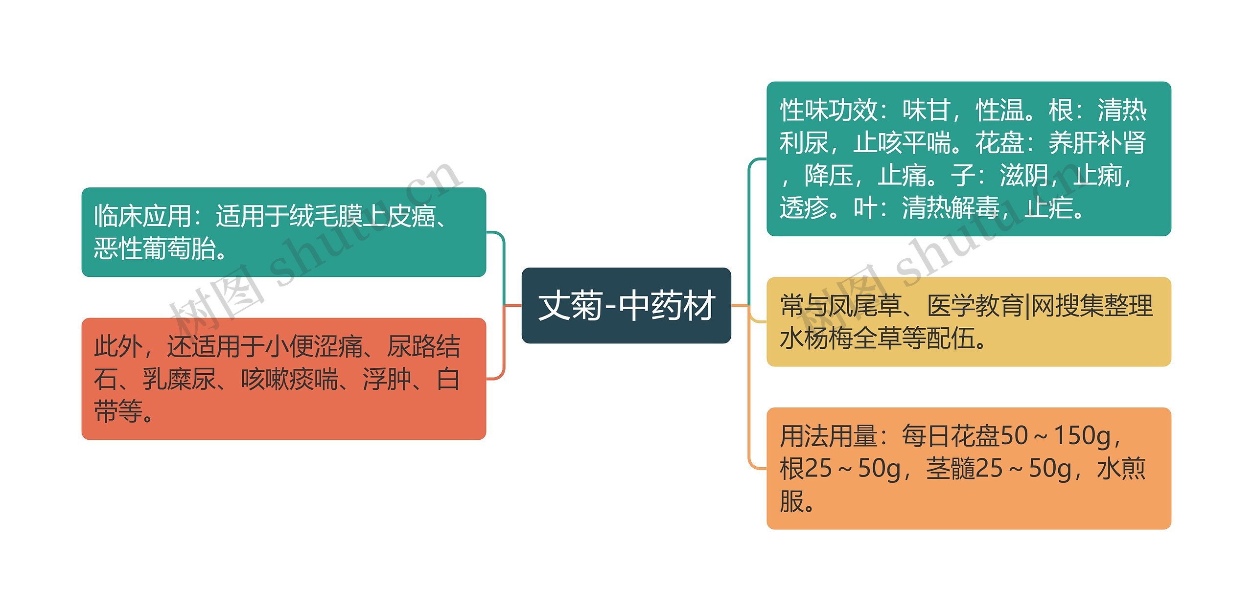 丈菊-中药材思维导图