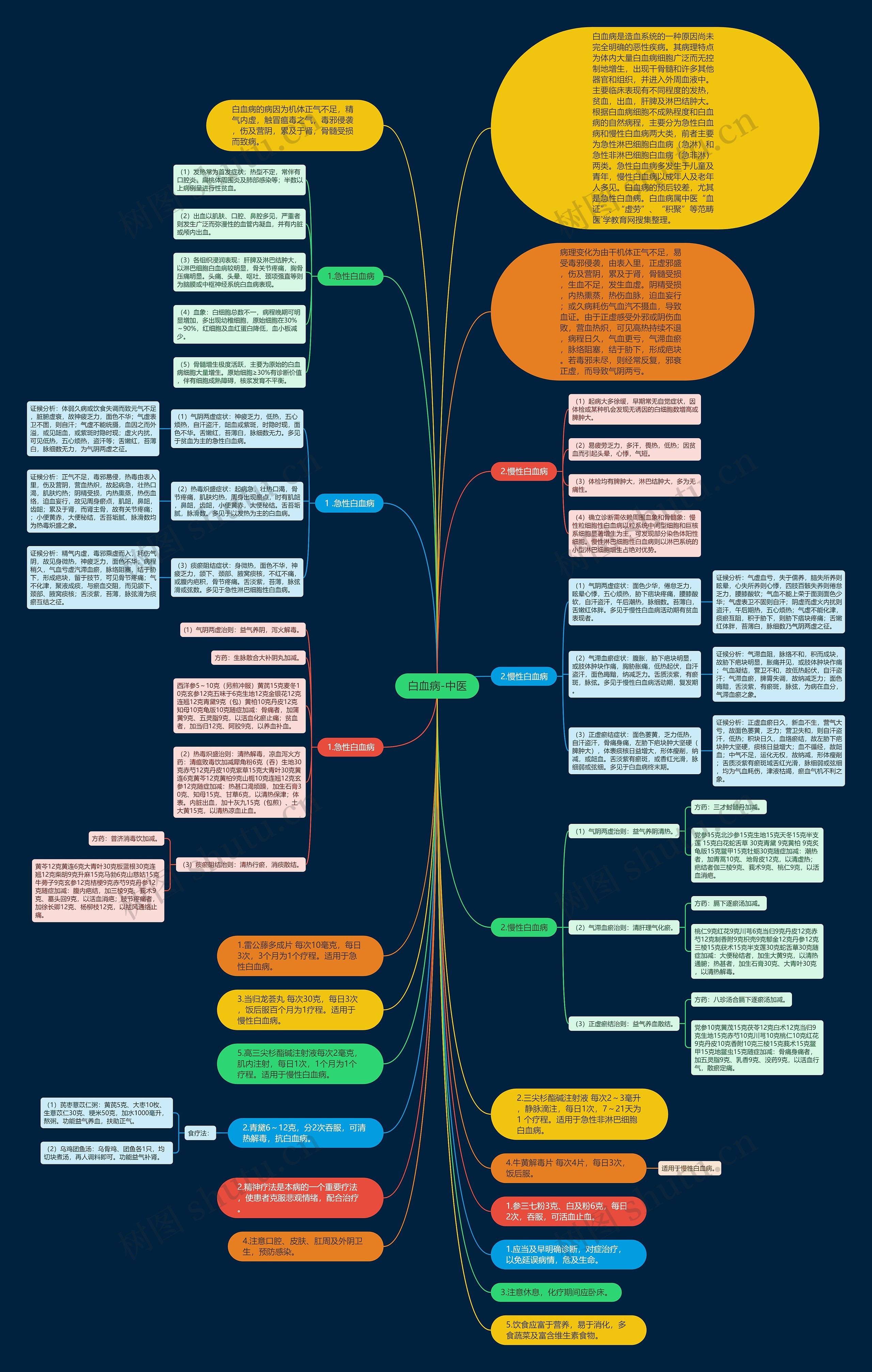 白血病-中医思维导图