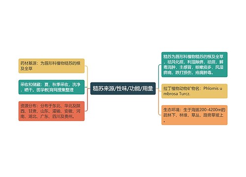 糙苏来源/性味/功能/用量