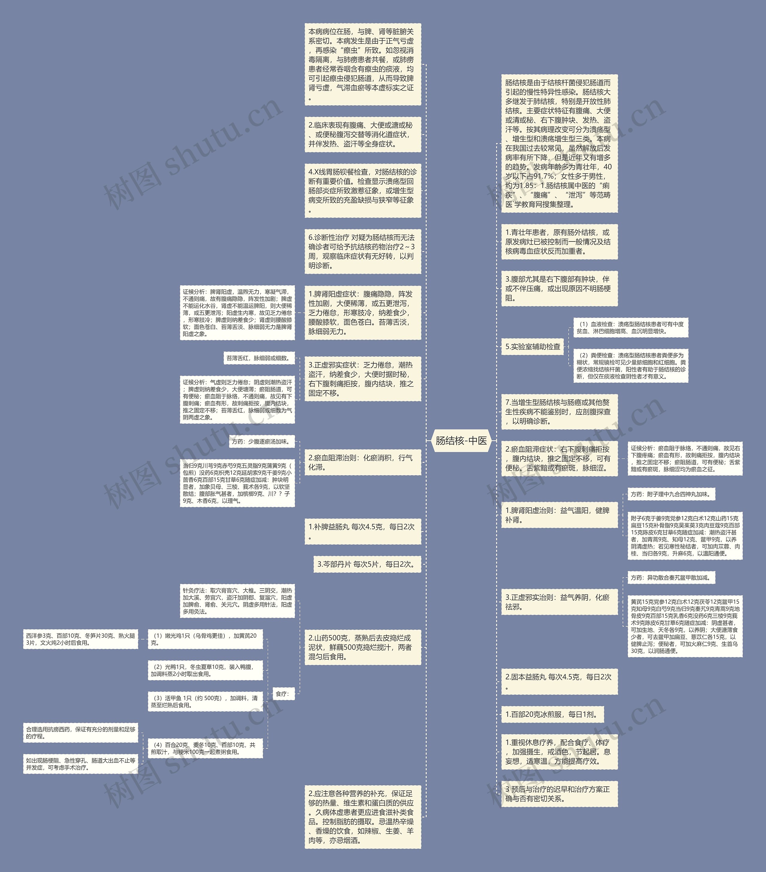 肠结核-中医思维导图