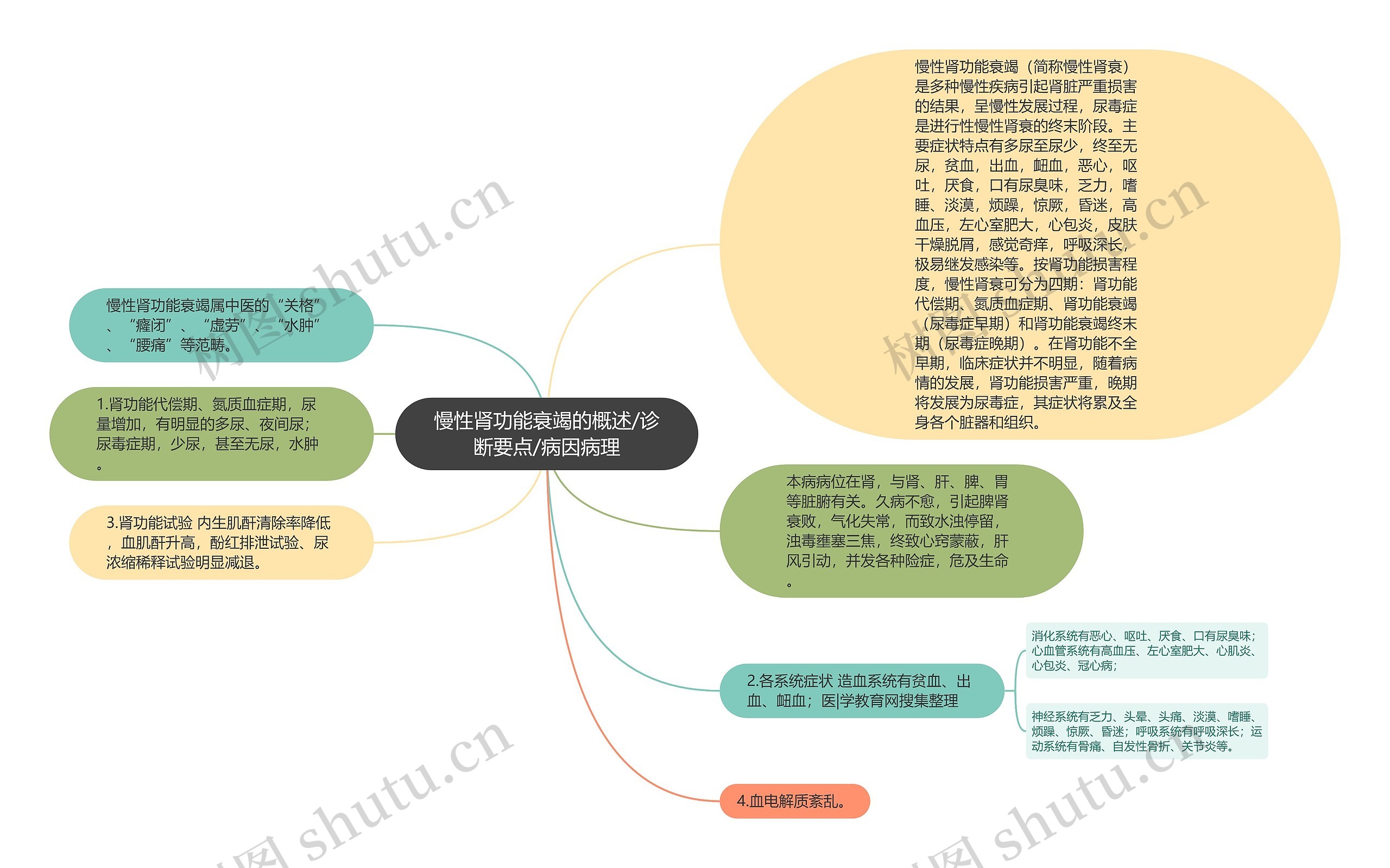 慢性肾功能衰竭的概述/诊断要点/病因病理