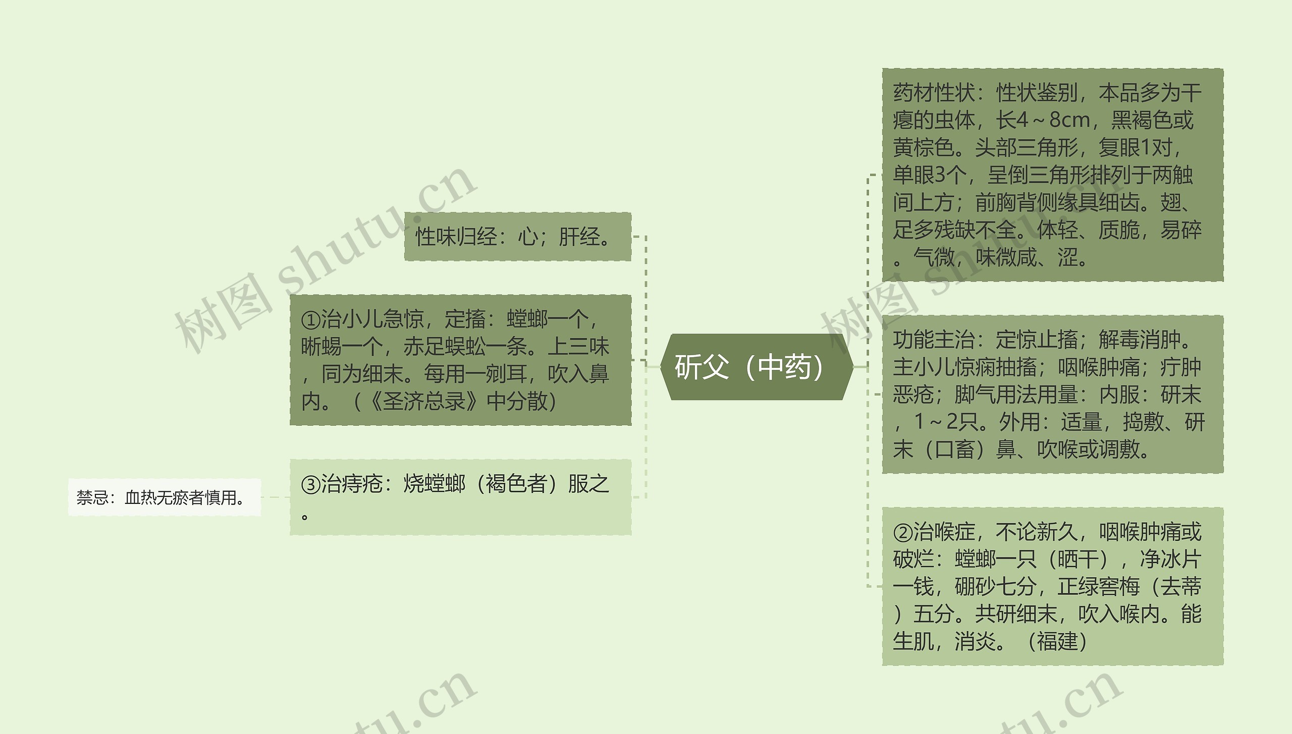 斫父（中药）思维导图