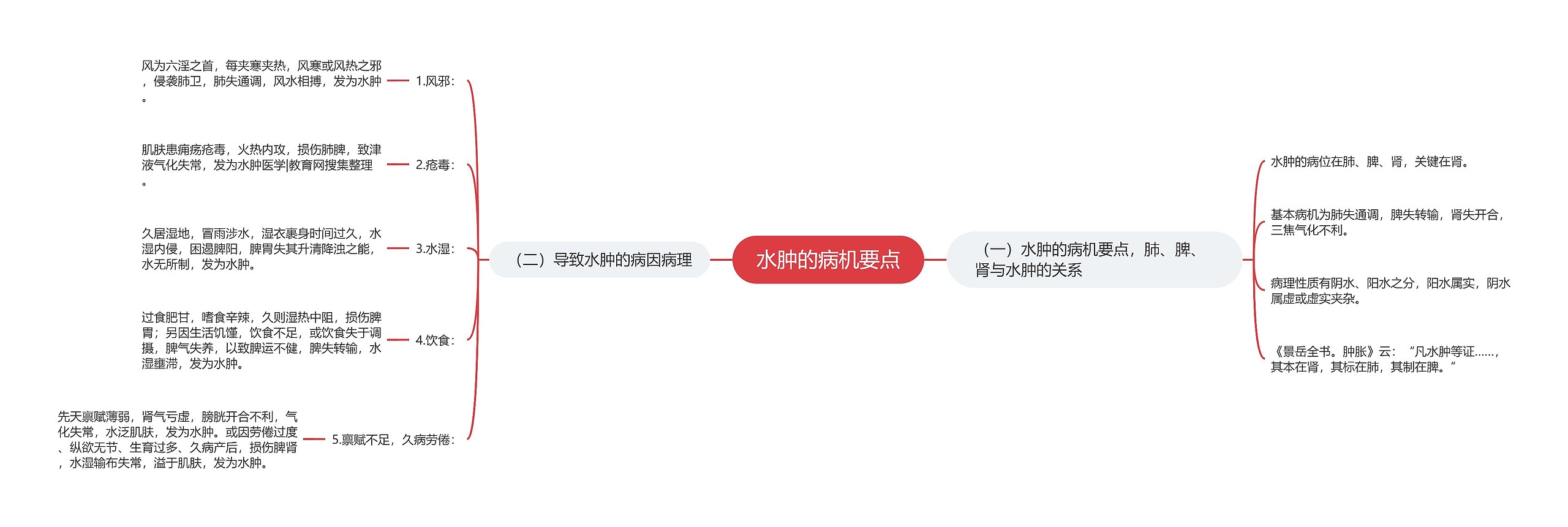 水肿的病机要点思维导图