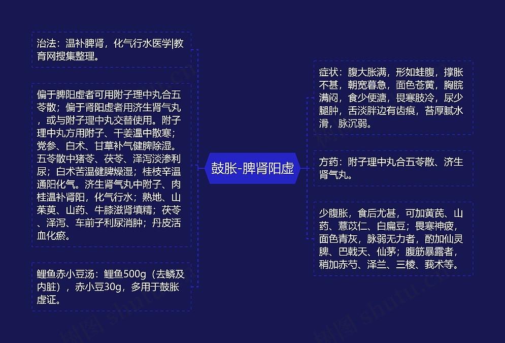 鼓胀-脾肾阳虚思维导图_编号p7003400-TreeMind树图