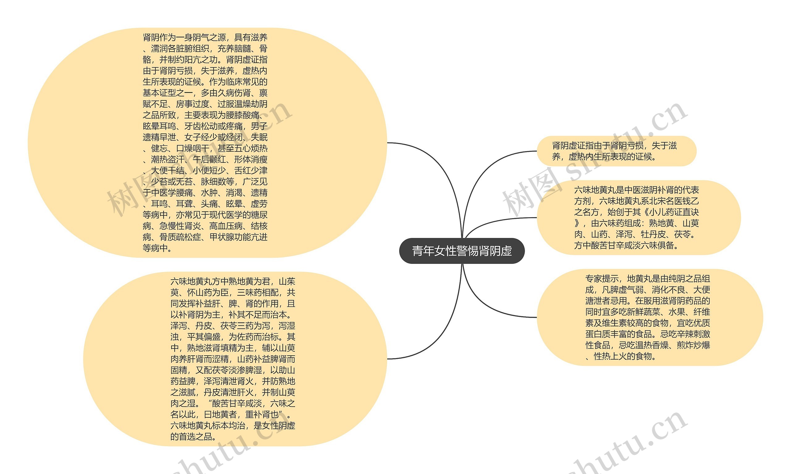 青年女性警惕肾阴虚思维导图