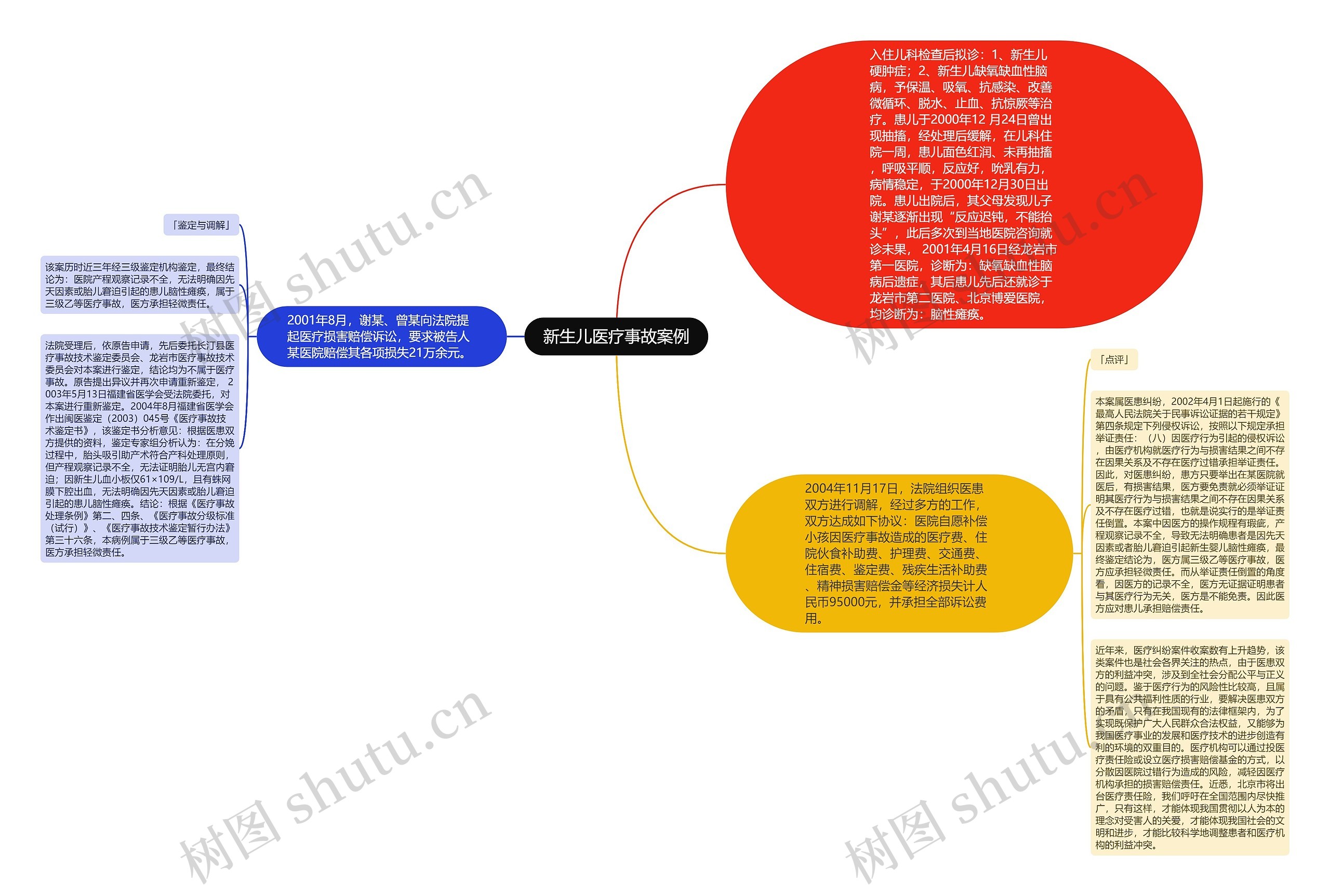 新生儿医疗事故案例思维导图