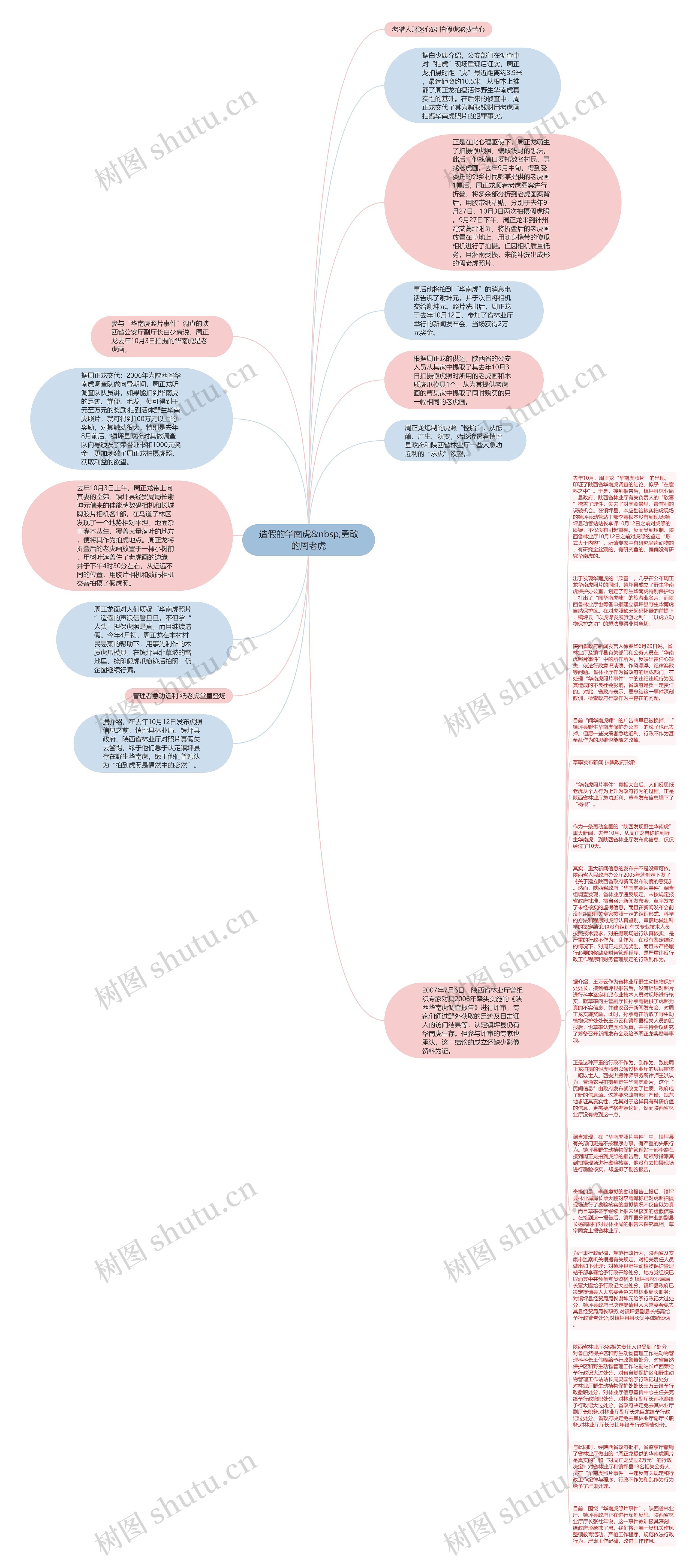 造假的华南虎&nbsp;勇敢的周老虎思维导图