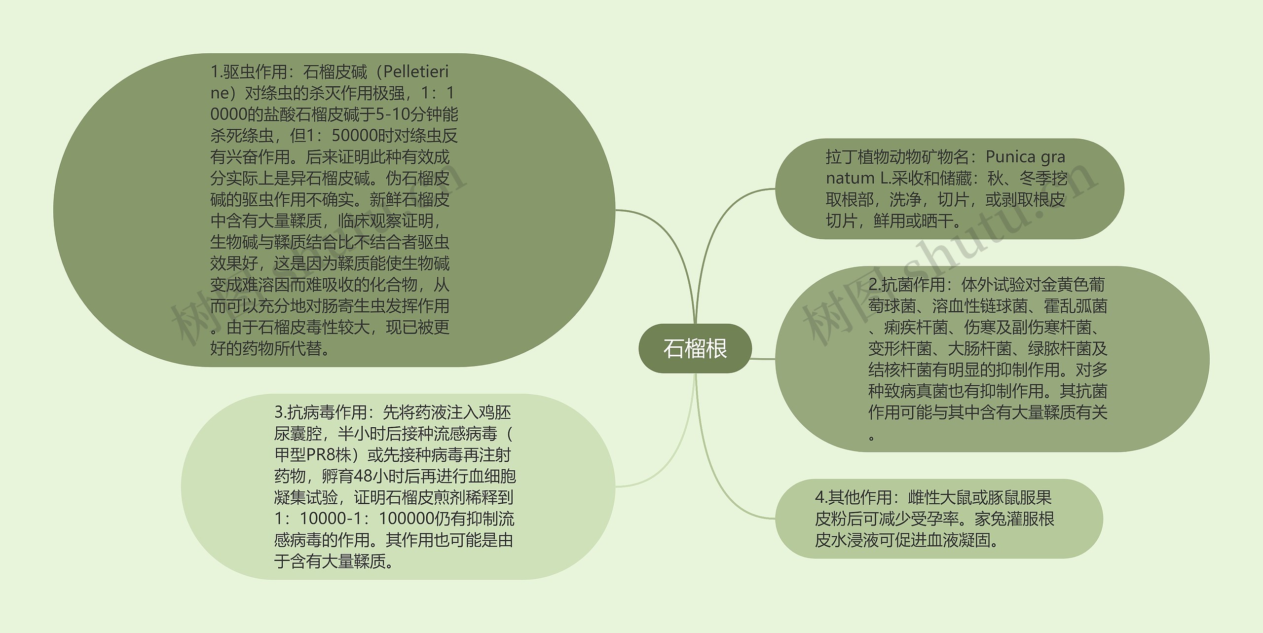 石榴根思维导图