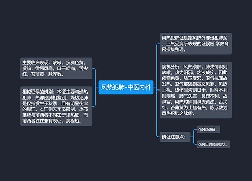 风热犯肺-中医内科