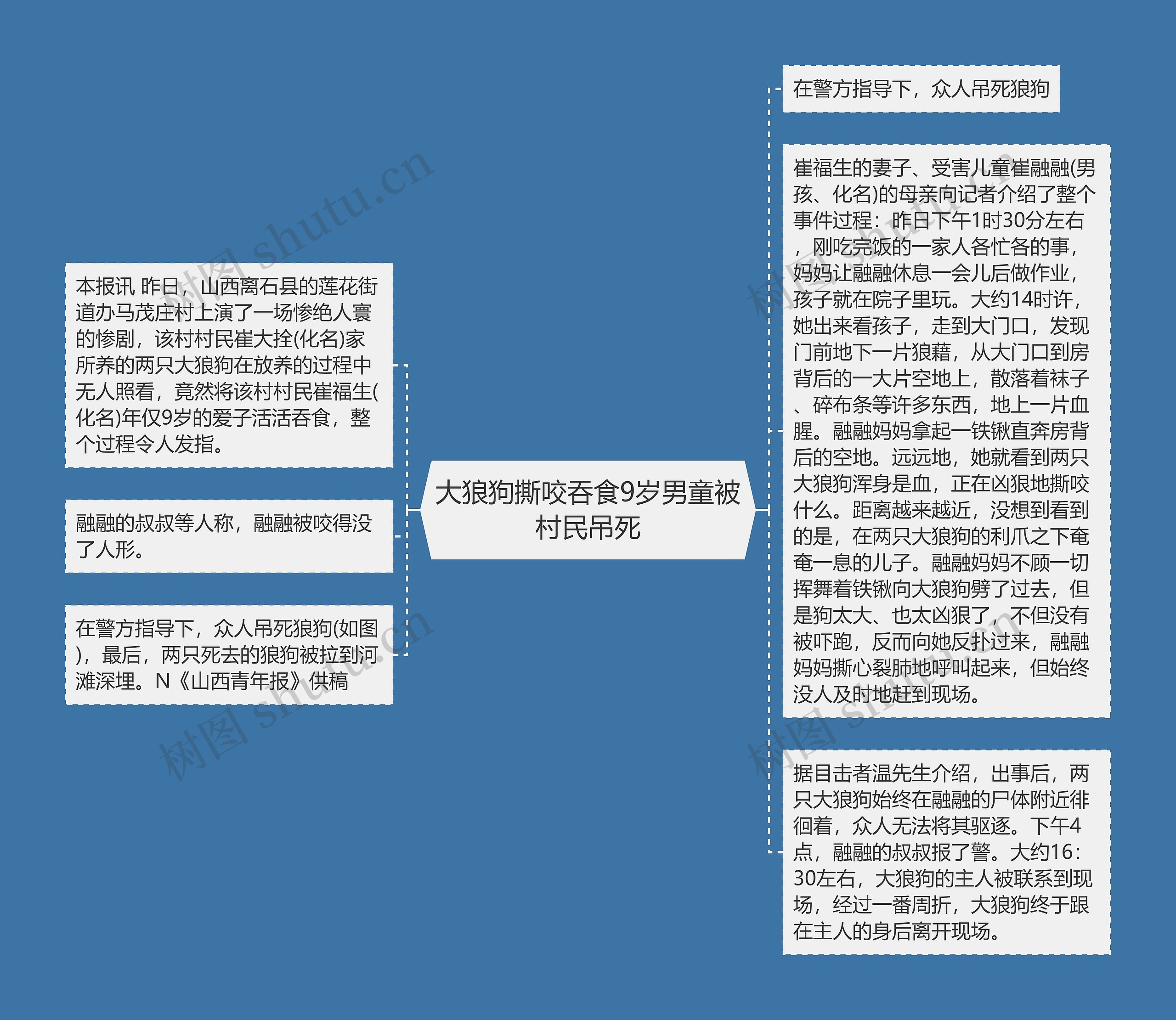 大狼狗撕咬吞食9岁男童被村民吊死思维导图