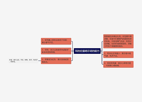 耳的位置暗示肾的能力