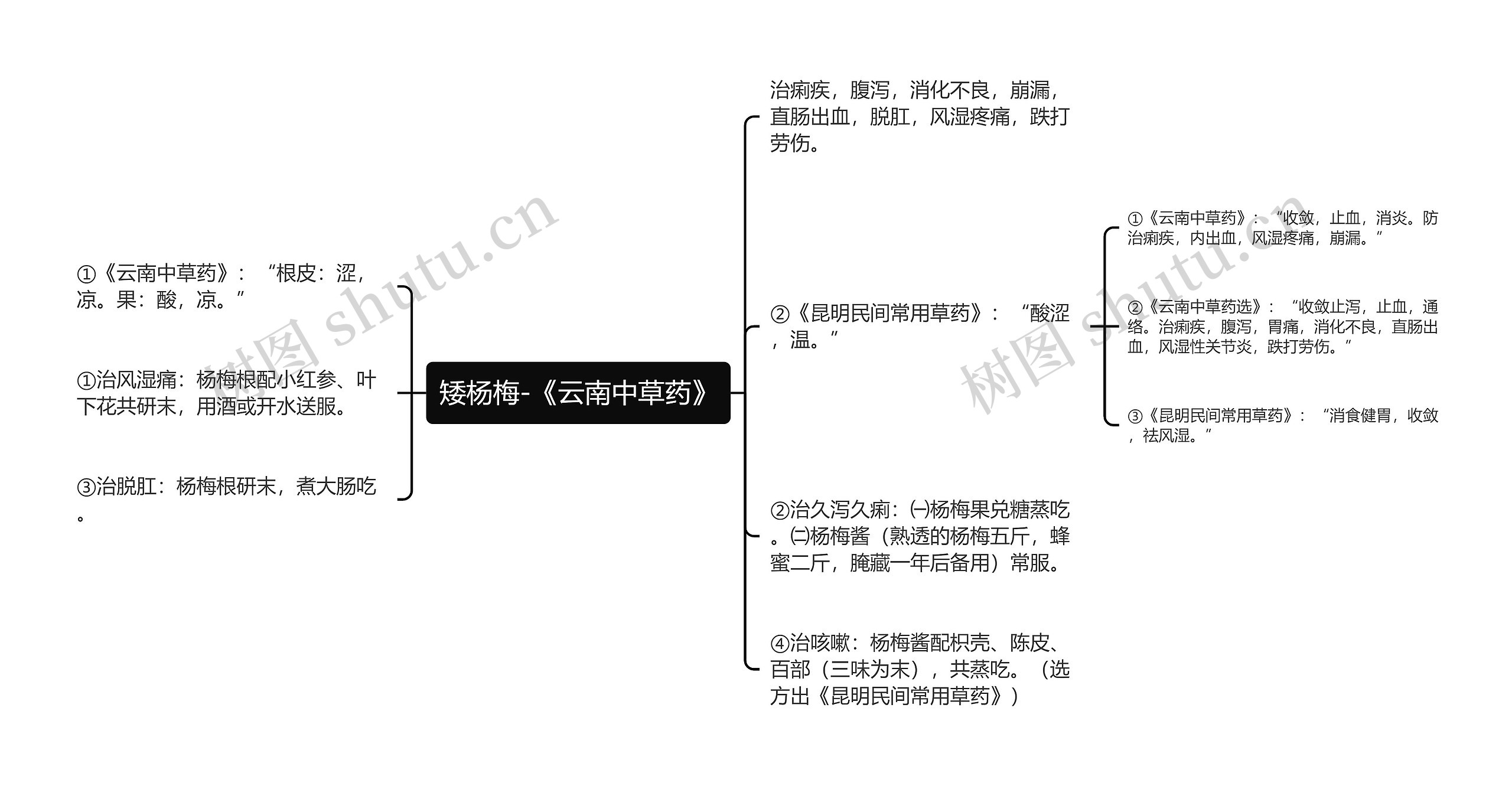 矮杨梅-《云南中草药》