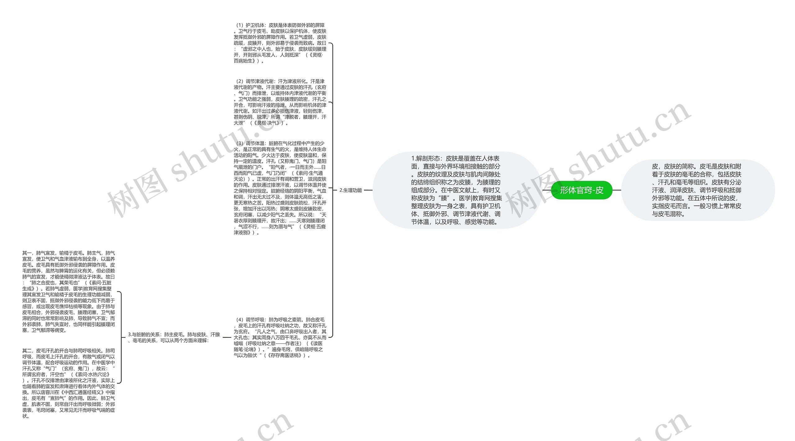 形体官窍-皮思维导图