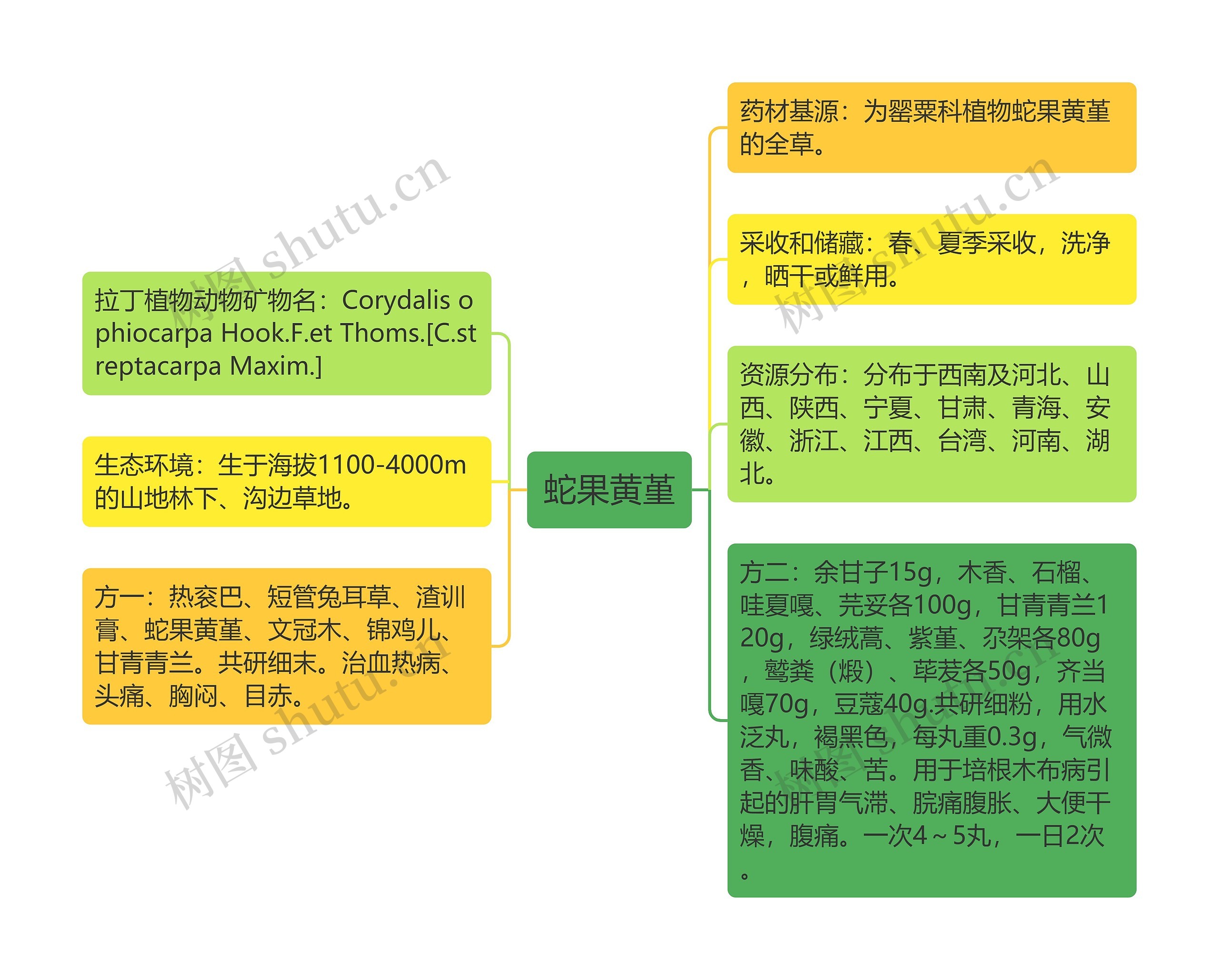 蛇果黄堇思维导图