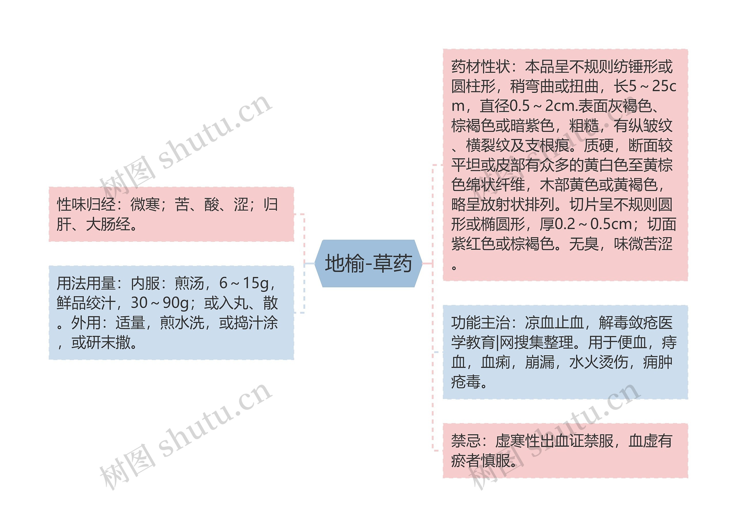 地榆-草药思维导图