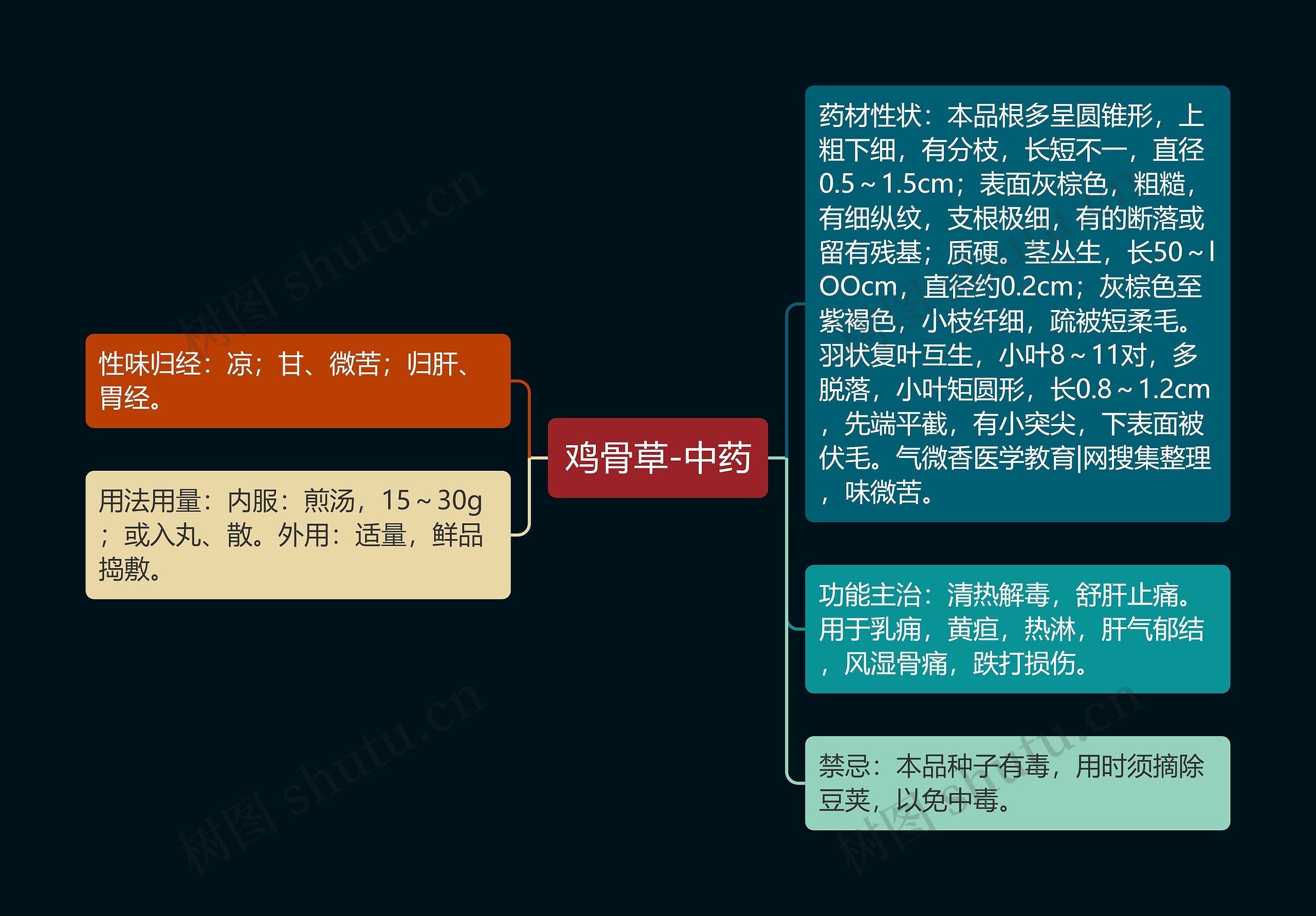 鸡骨草-中药思维导图