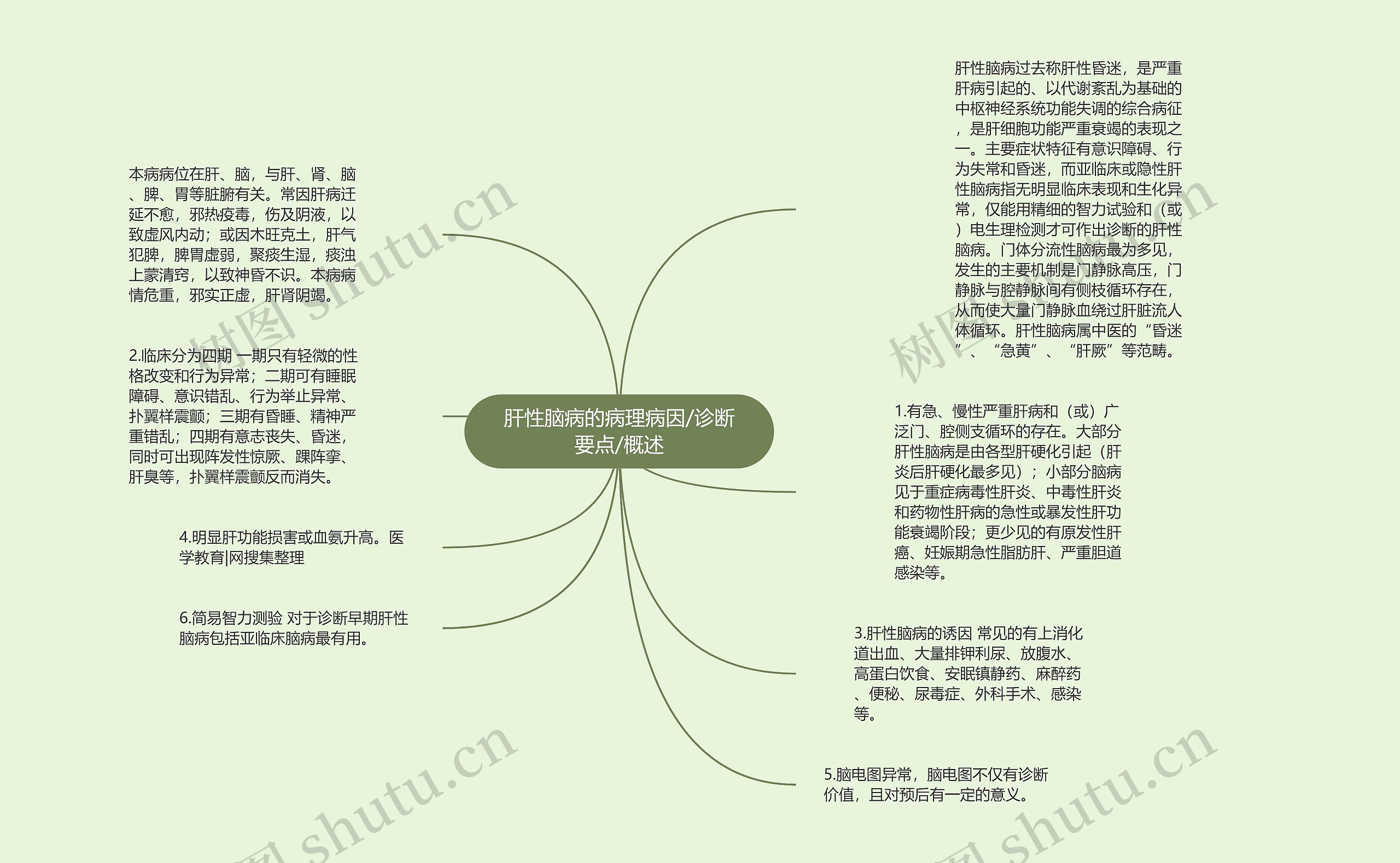 肝性脑病的病理病因/诊断要点/概述思维导图