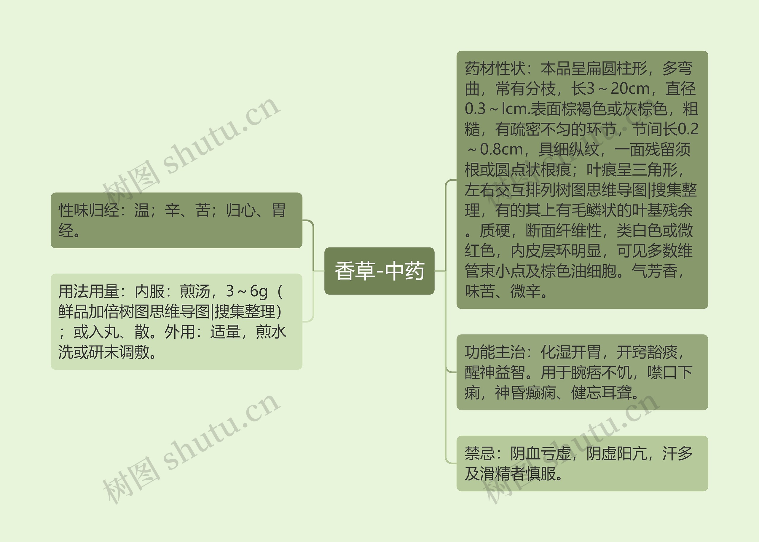 香草-中药思维导图