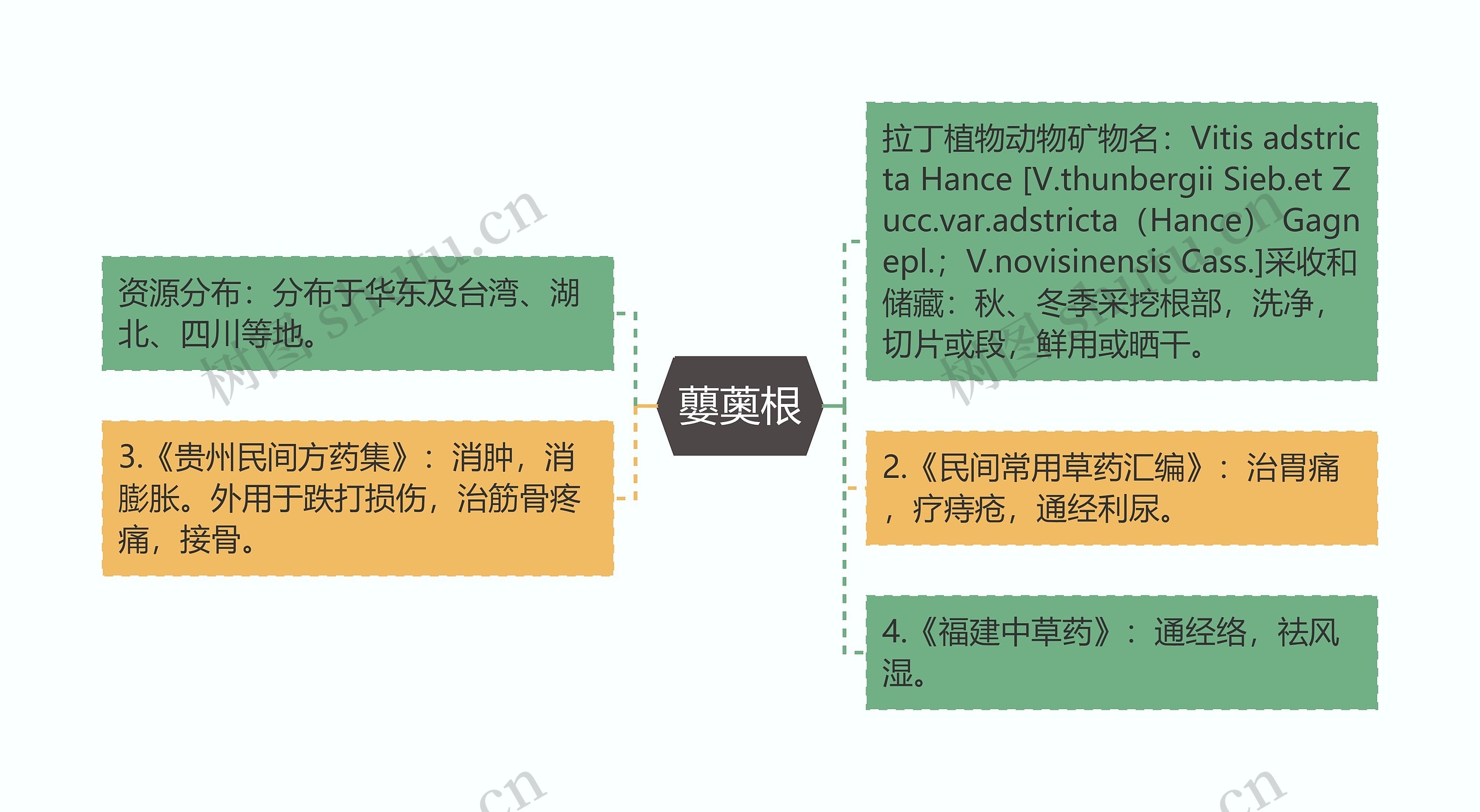 蘡薁根思维导图