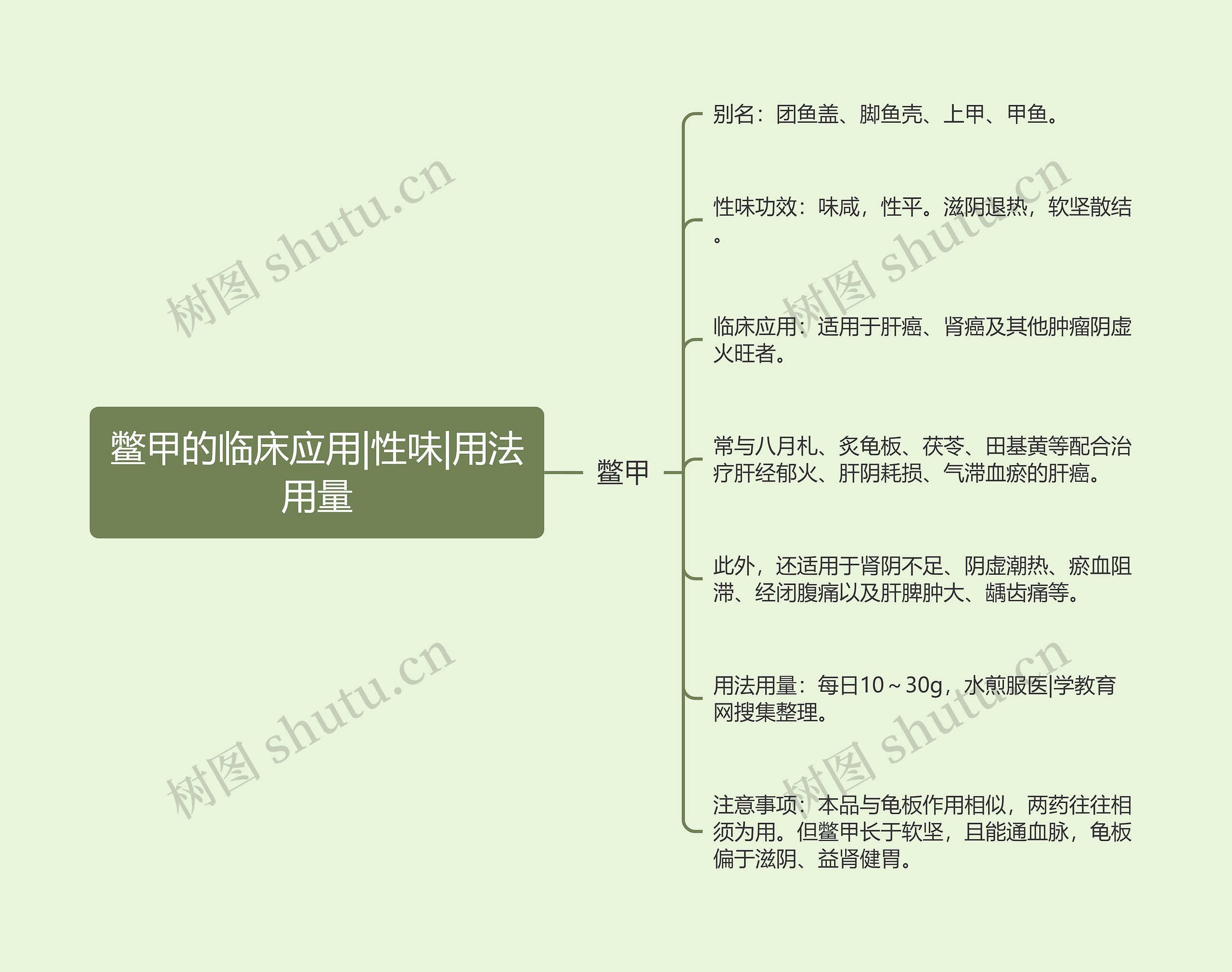 鳖甲的临床应用|性味|用法用量 鳖甲的临床应用|性味|用法用量