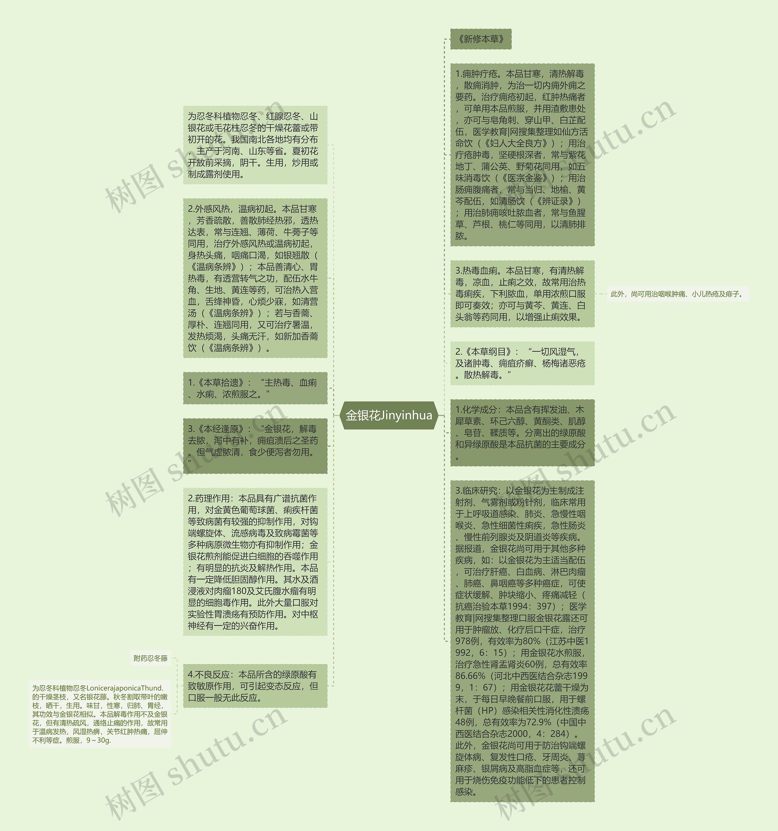 金银花Jinyinhua思维导图