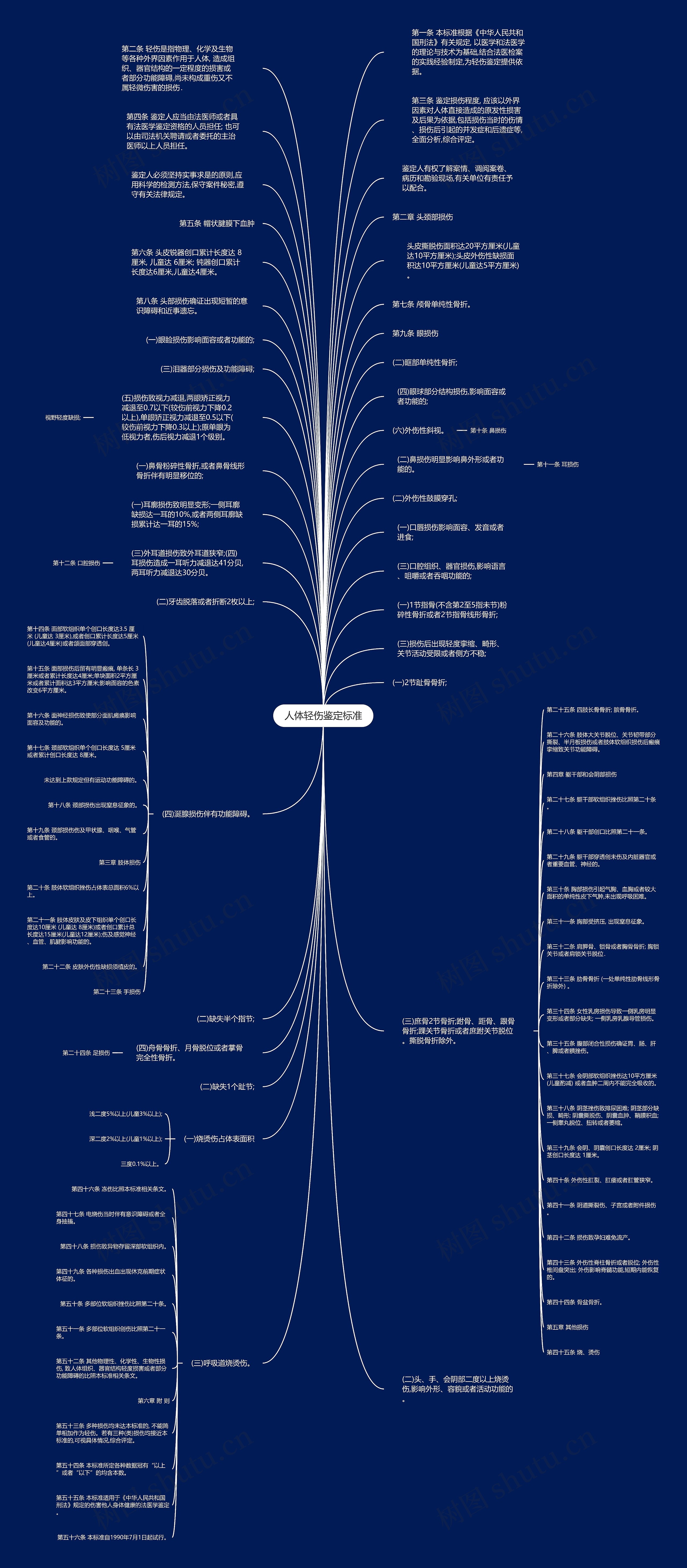 人体轻伤鉴定标准思维导图