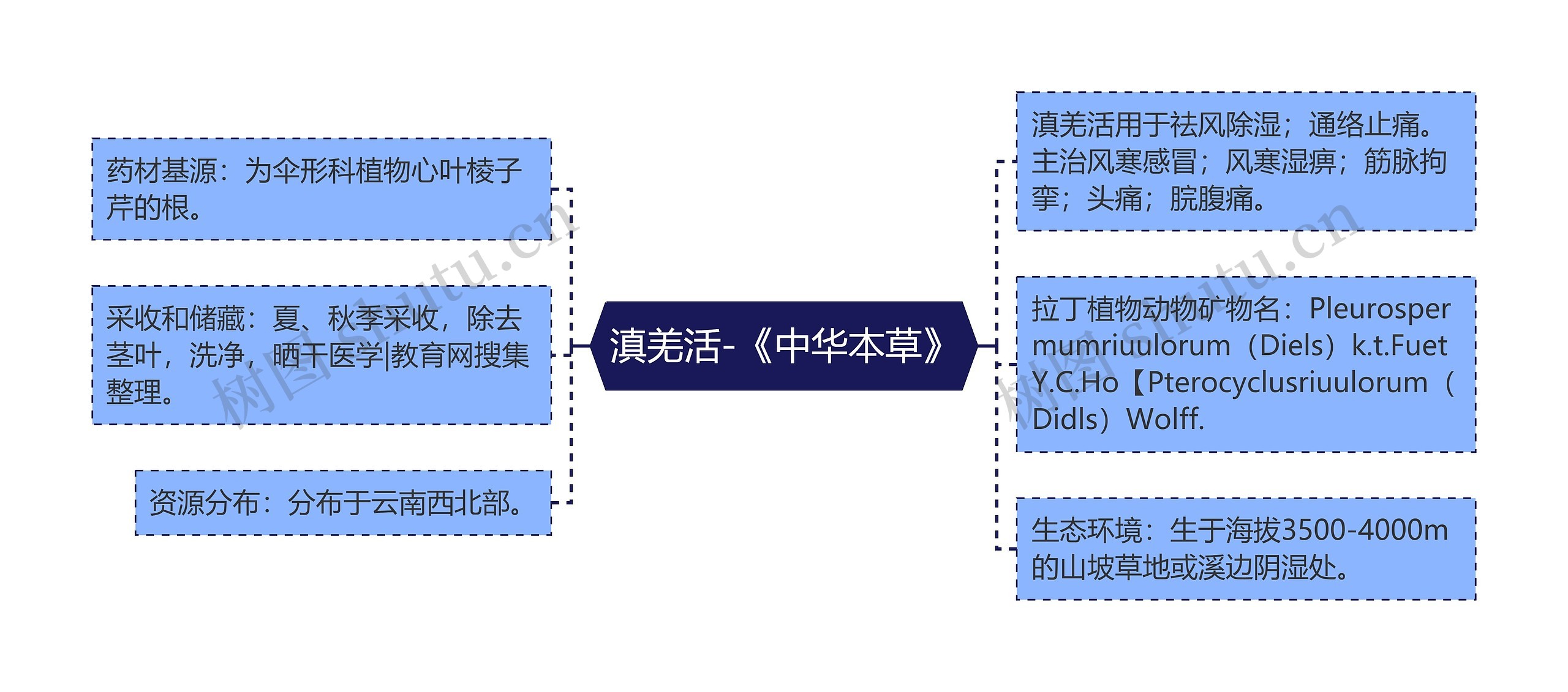 滇羌活-《中华本草》思维导图