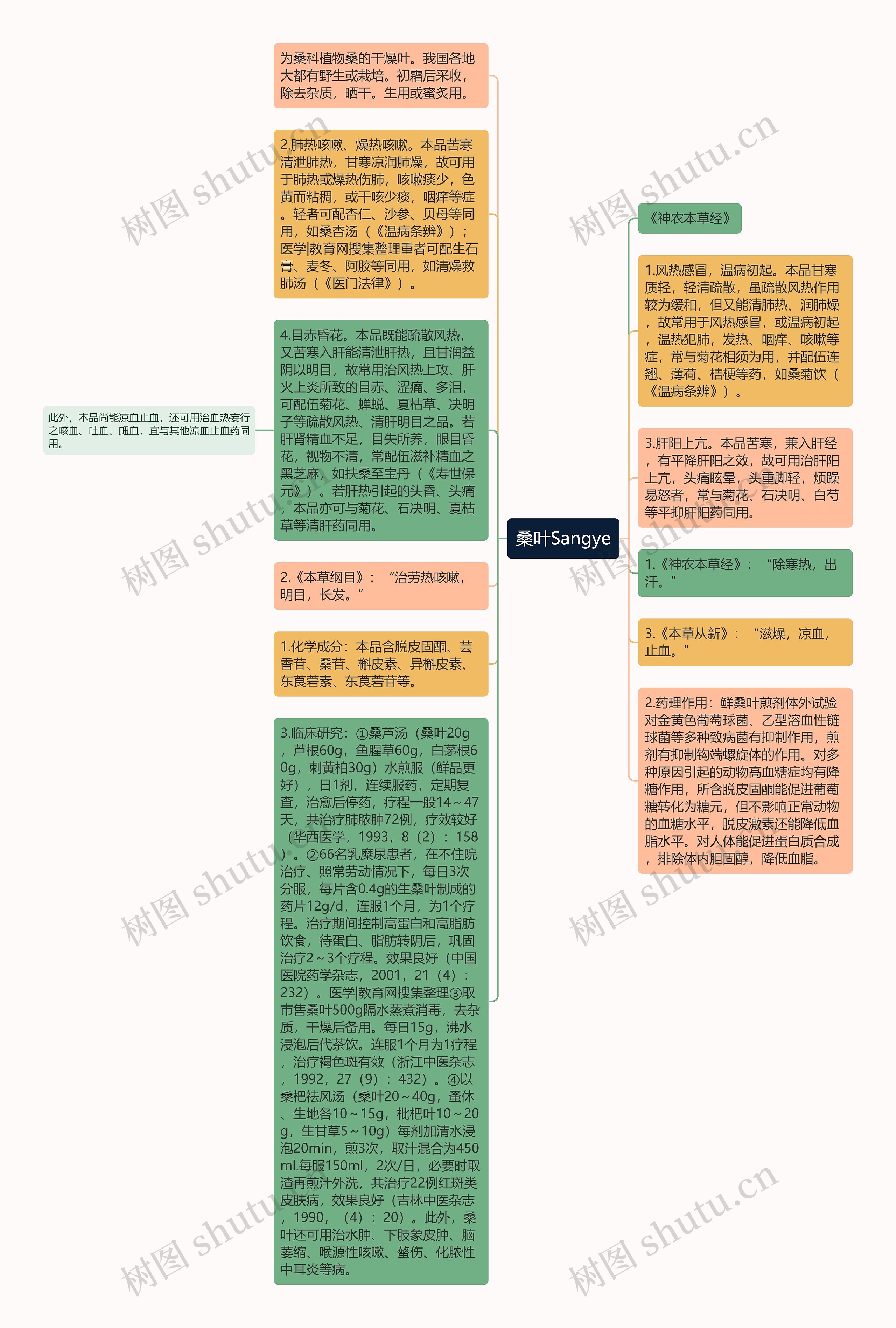 桑叶Sangye思维导图