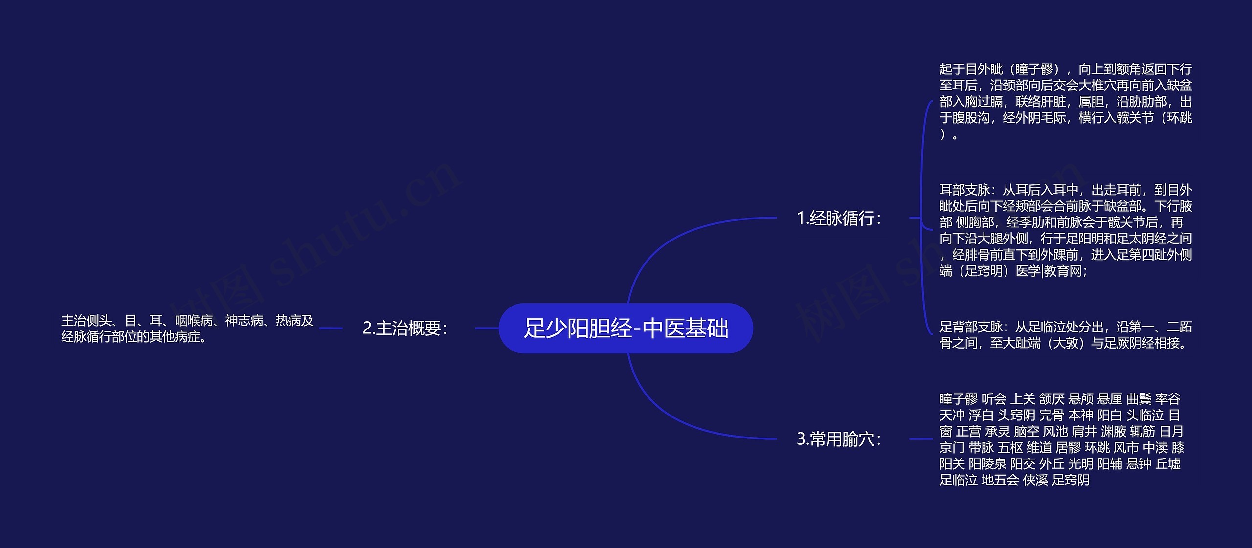 足少阳胆经-中医基础思维导图