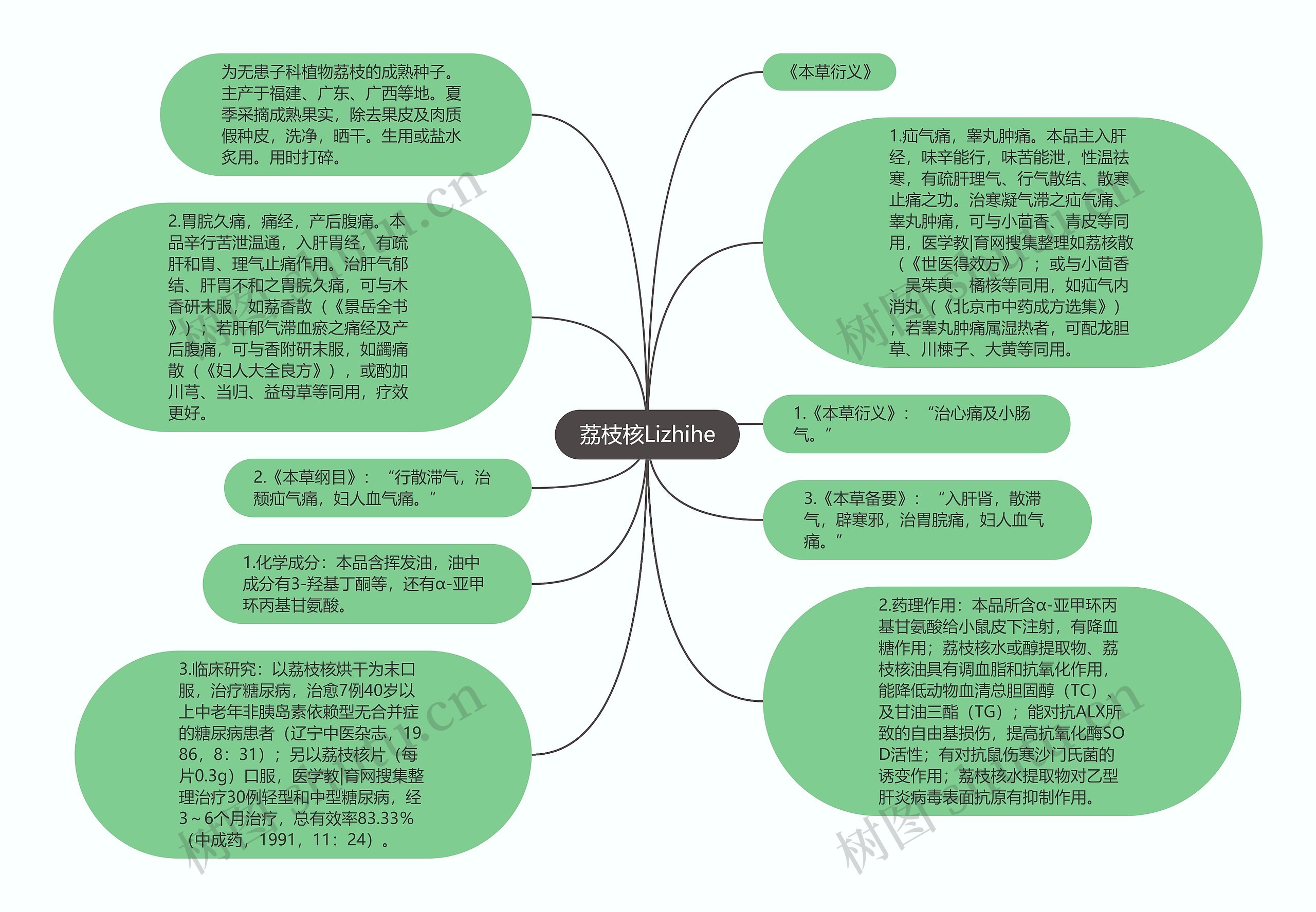 荔枝核Lizhihe思维导图