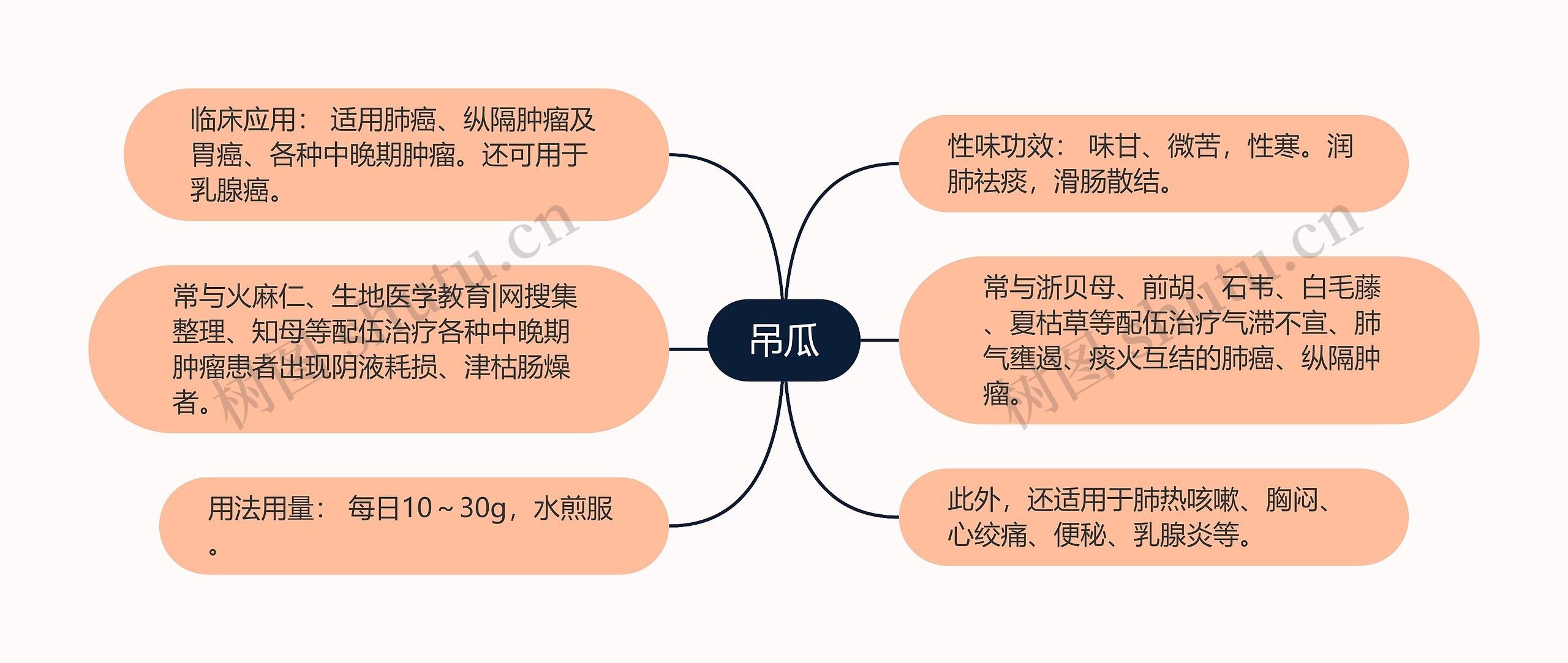 吊瓜思维导图