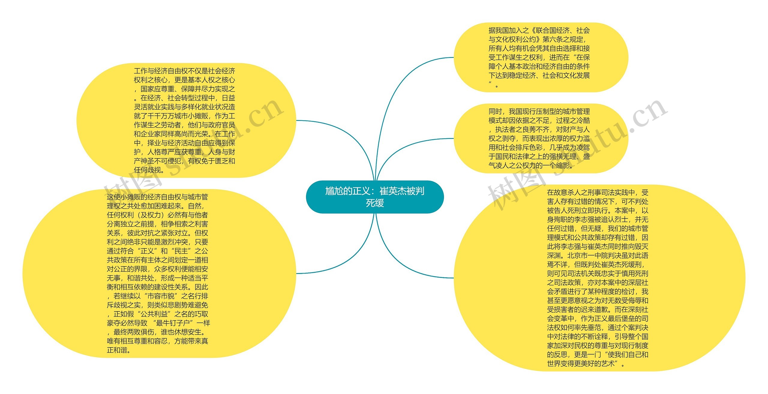 尴尬的正义：崔英杰被判死缓思维导图