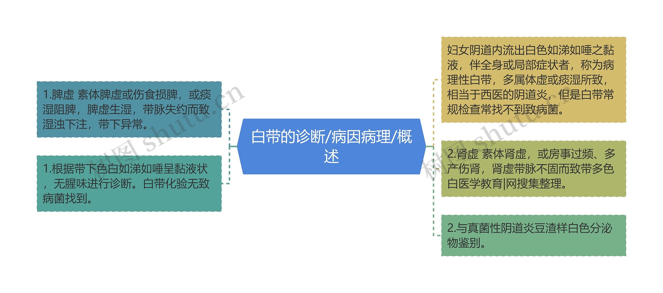 白带的诊断/病因病理/概述思维导图