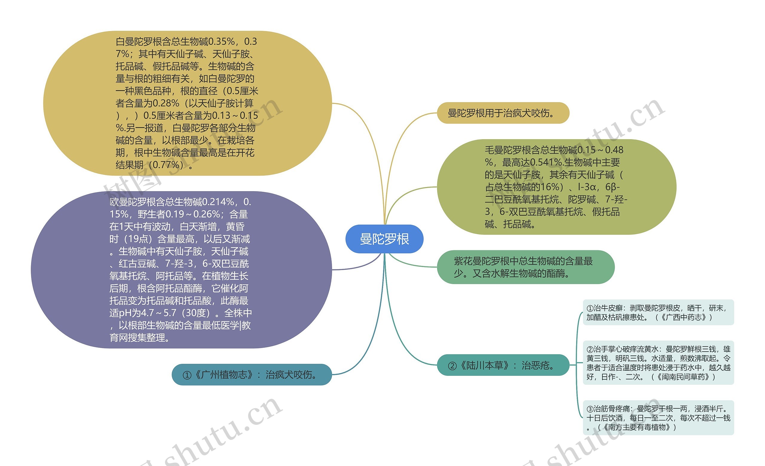 曼陀罗根思维导图