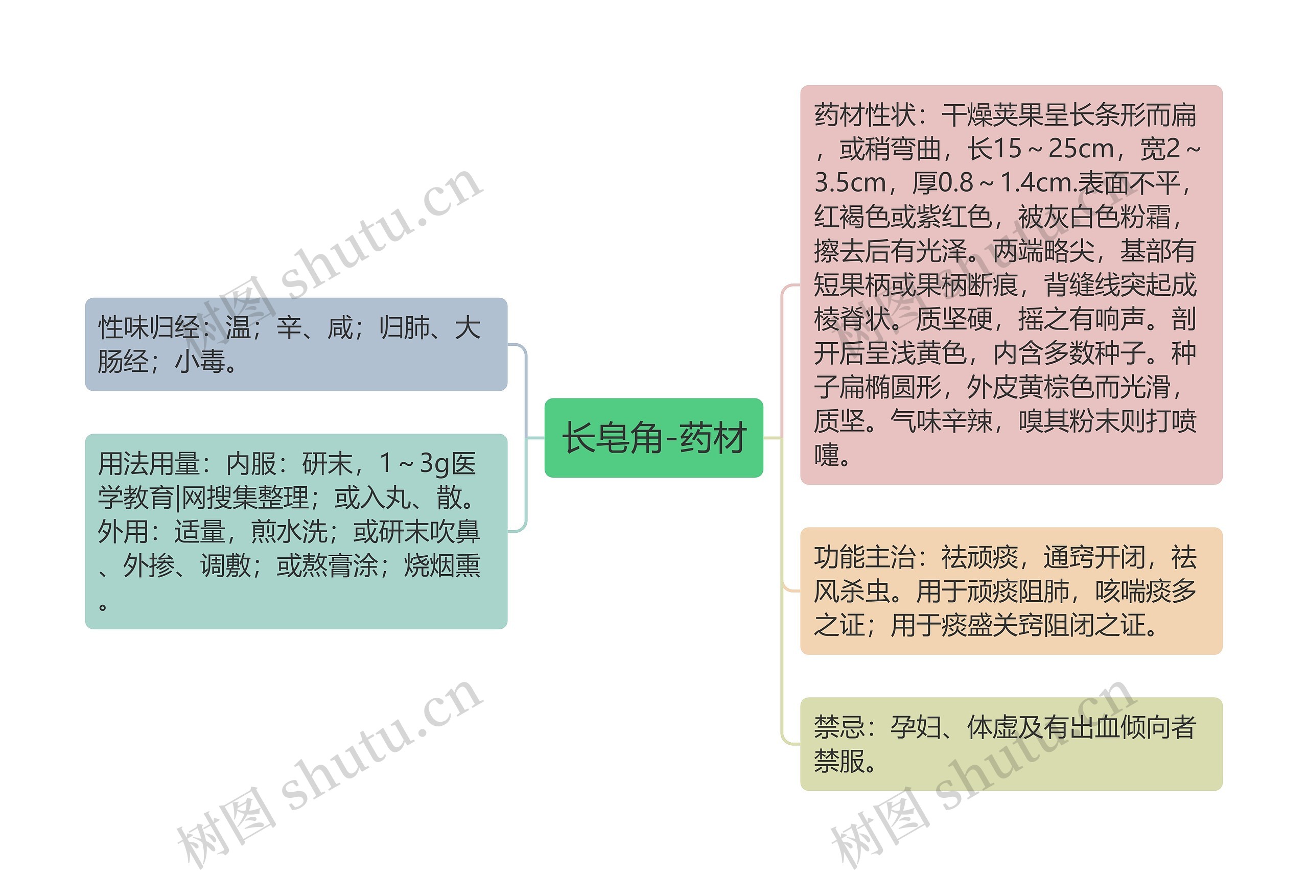 长皂角-药材思维导图